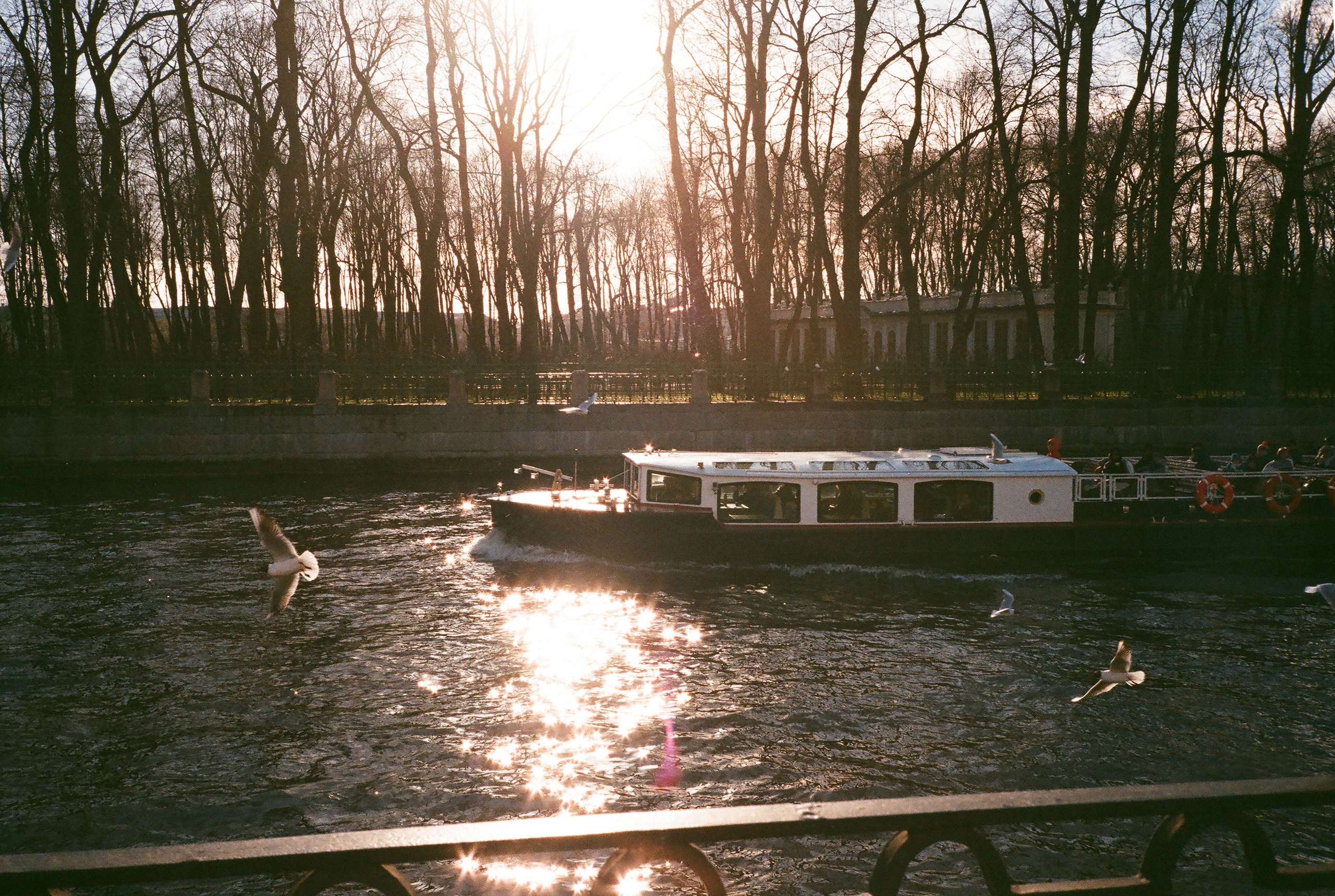 Фотографии цветные. Свадебный и семейный пленочный фотограф в Петербурге Истомина Ирина