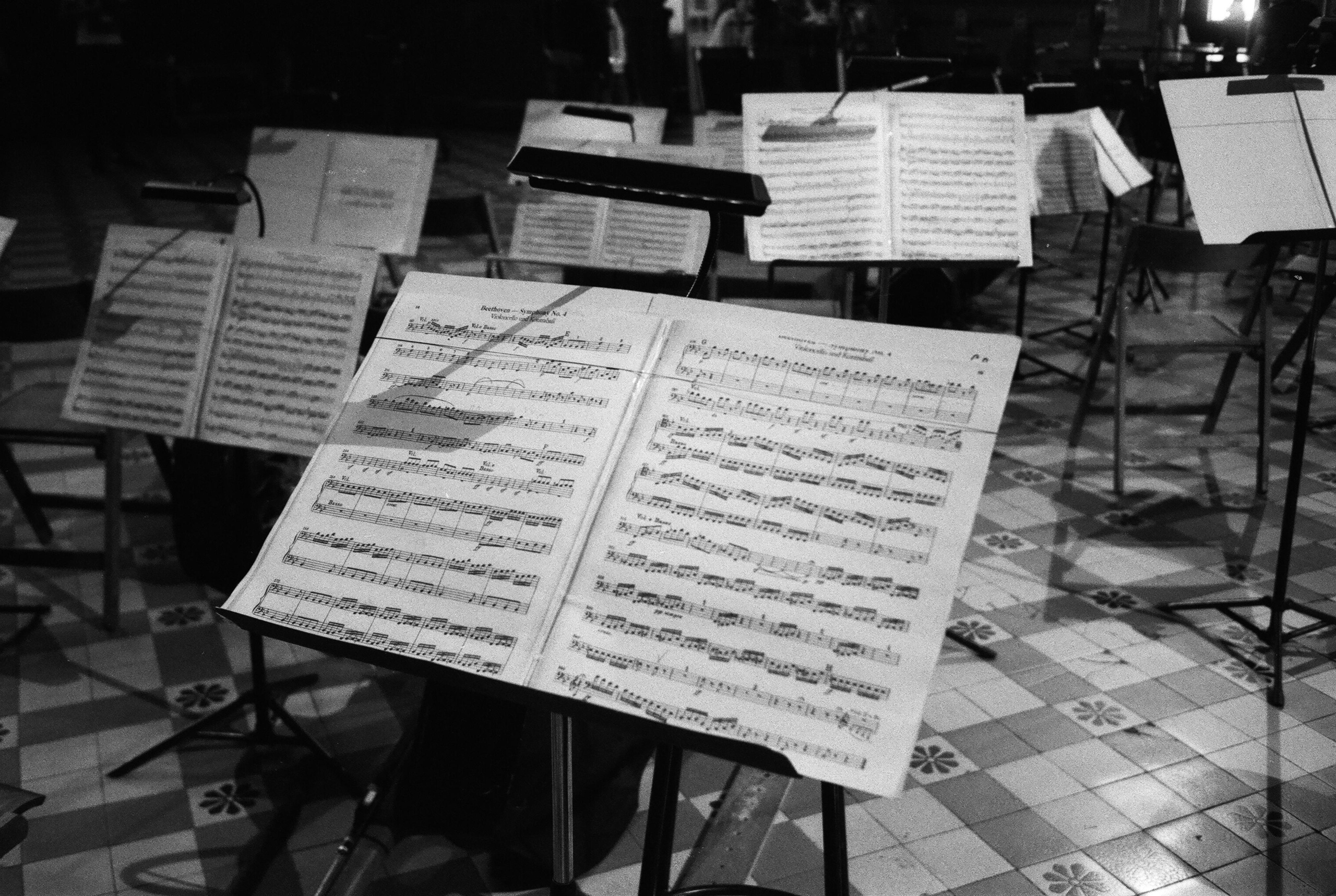 Фотографии черно-белые. Свадебный и семейный пленочный фотограф в Петербурге Истомина Ирина