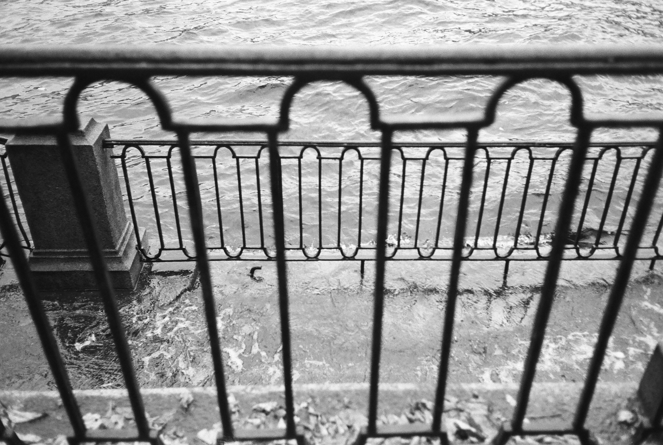 Фотографии черно-белые. Свадебный и семейный пленочный фотограф в Петербурге Истомина Ирина