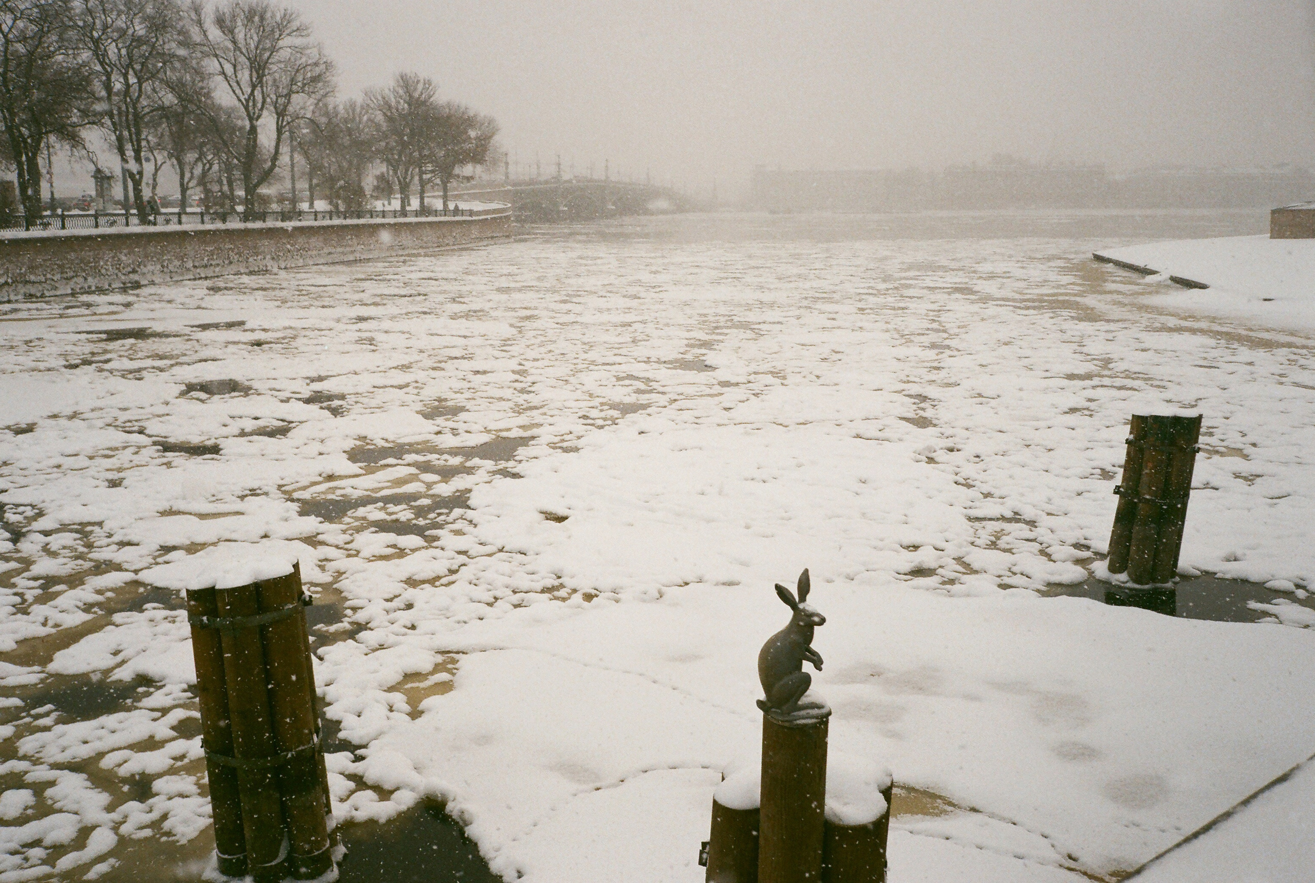 Фотографии цветные. Свадебный и семейный пленочный фотограф в Петербурге Истомина Ирина