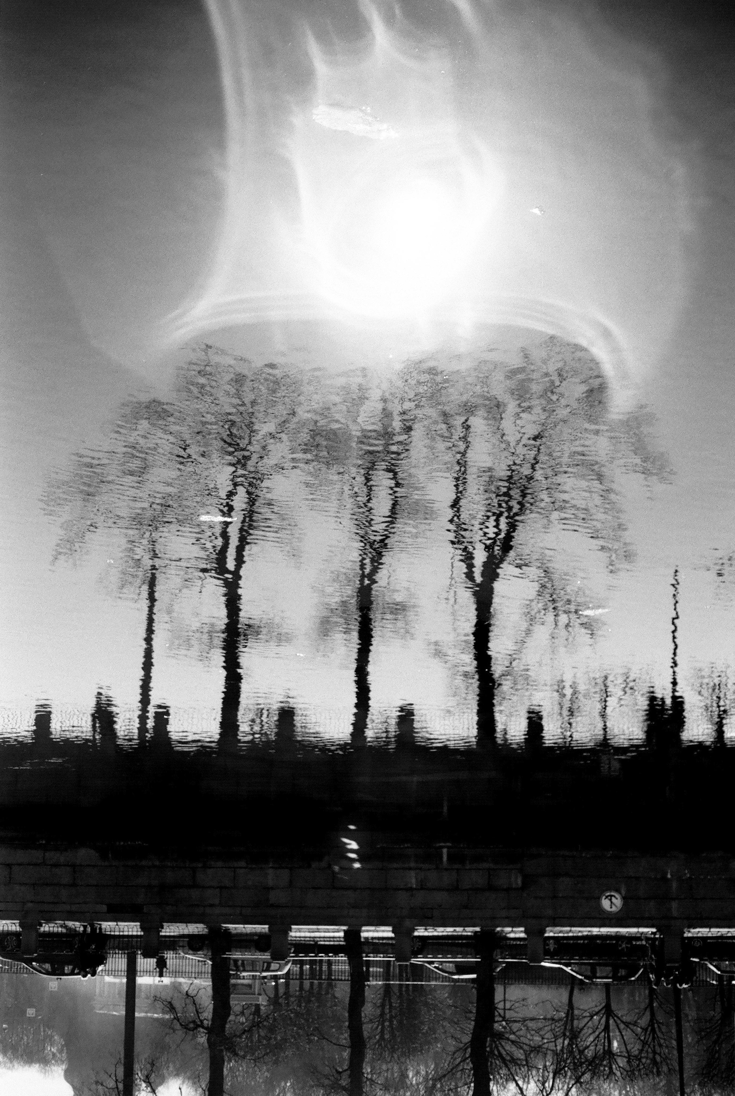 Фотографии черно-белые. Свадебный и семейный пленочный фотограф в Петербурге Истомина Ирина