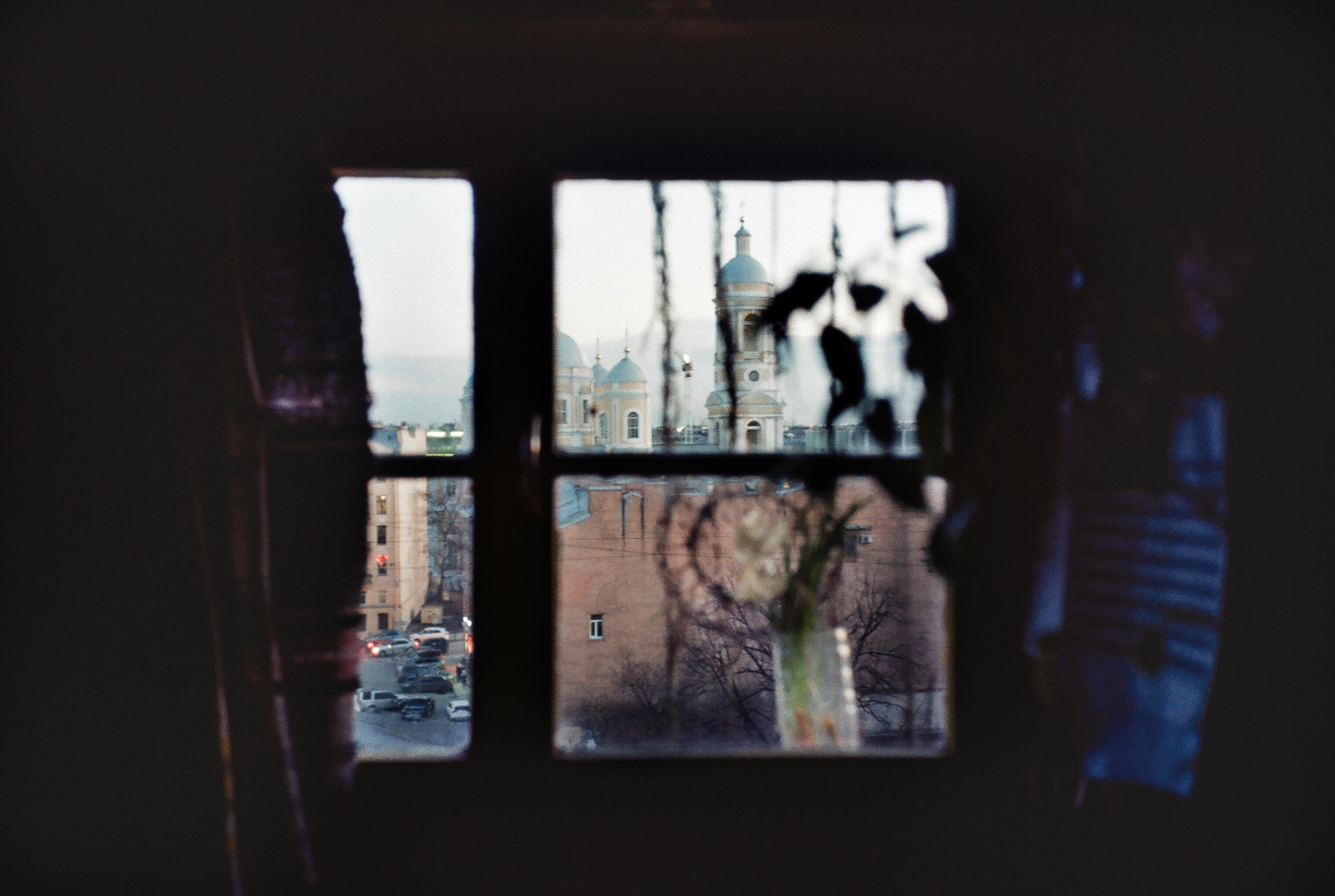 Фотографии цветные. Свадебный и семейный пленочный фотограф в Петербурге Истомина Ирина