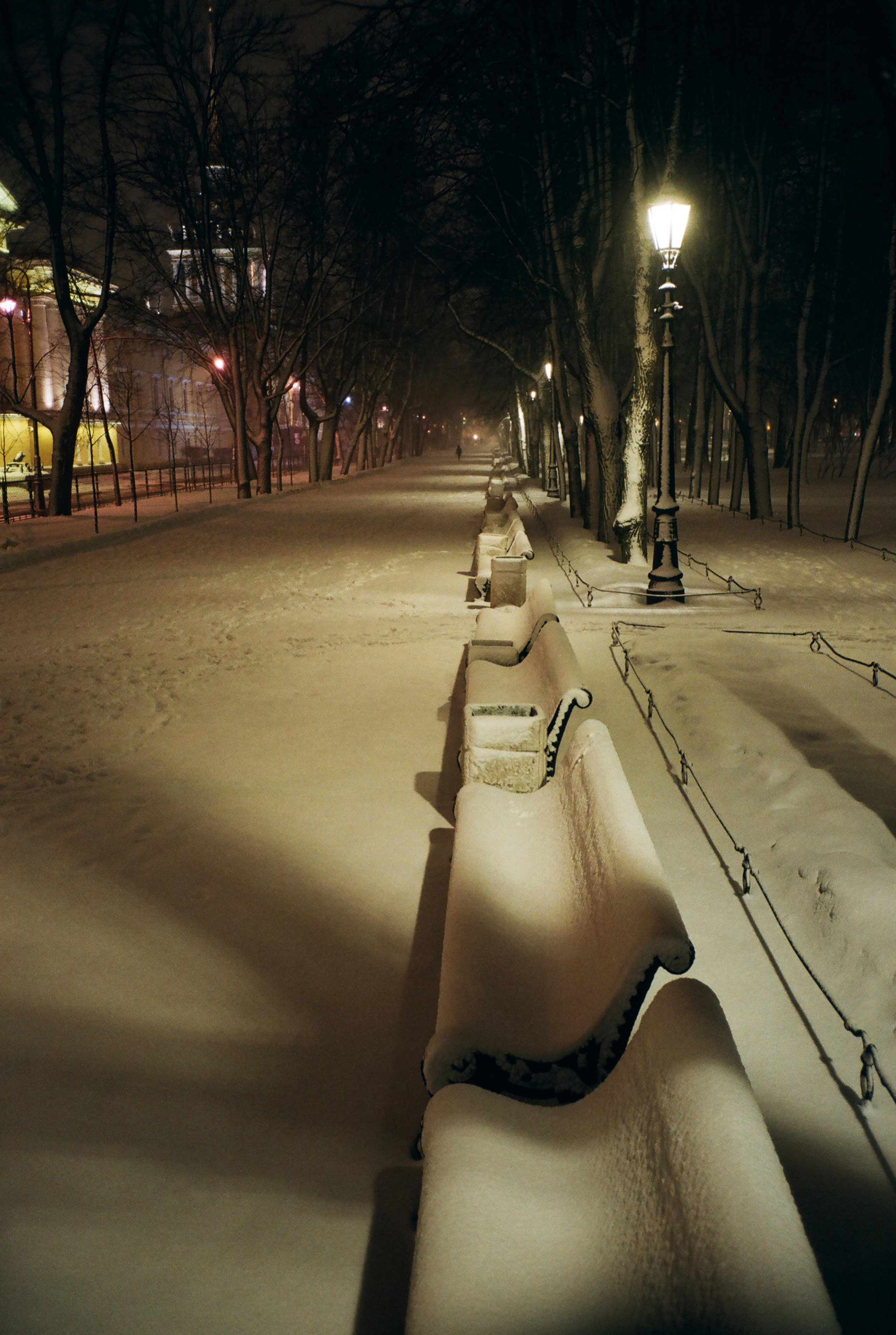 Фотографии цветные. Свадебный и семейный пленочный фотограф в Петербурге Истомина Ирина