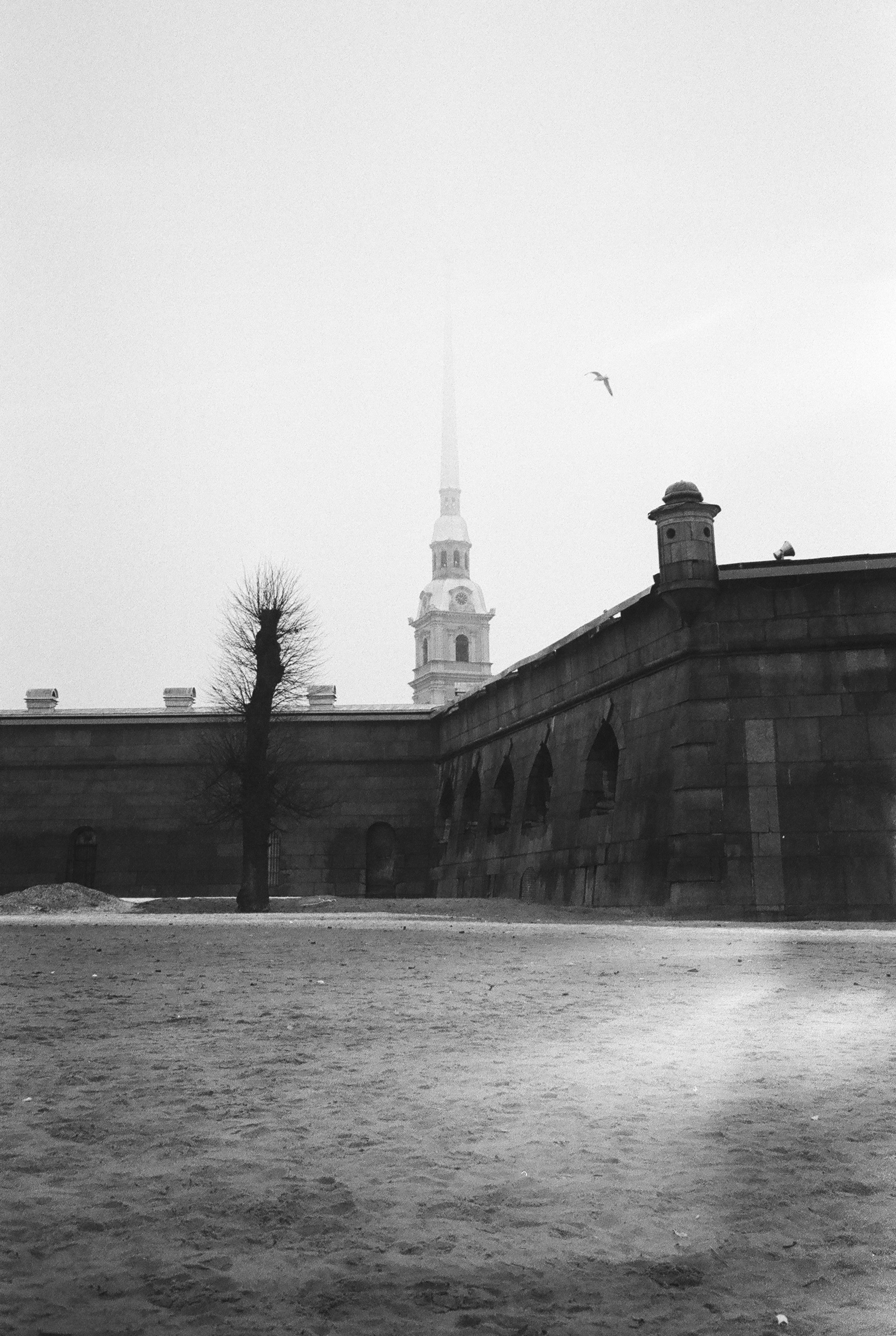 Фотографии черно-белые. Свадебный и семейный пленочный фотограф в Петербурге Истомина Ирина