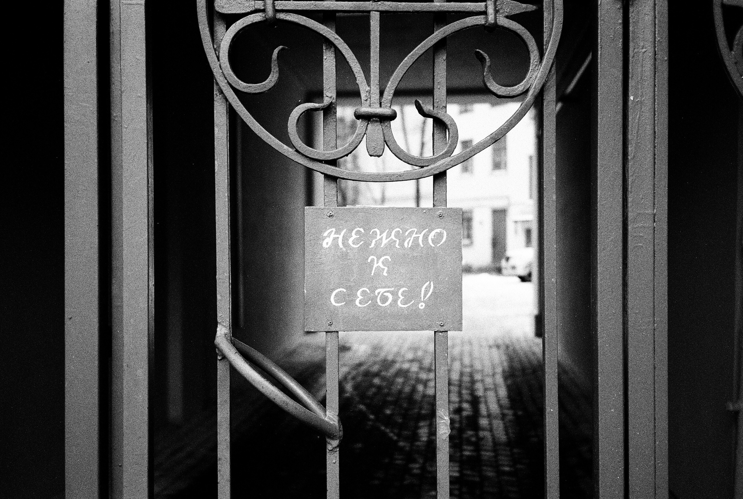 Фотографии черно-белые. Свадебный и семейный пленочный фотограф в Петербурге Истомина Ирина