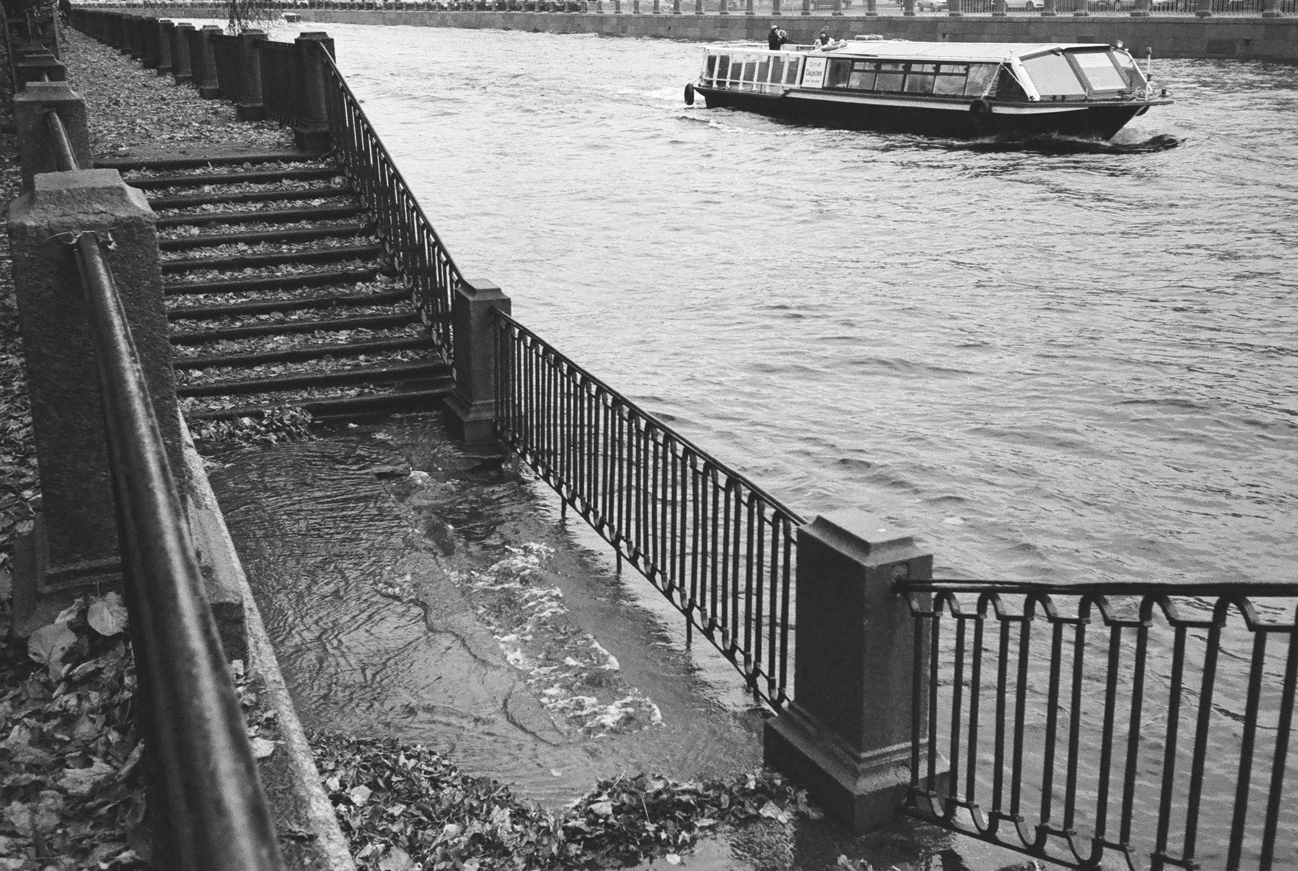 Фотографии черно-белые. Свадебный и семейный пленочный фотограф в Петербурге Истомина Ирина