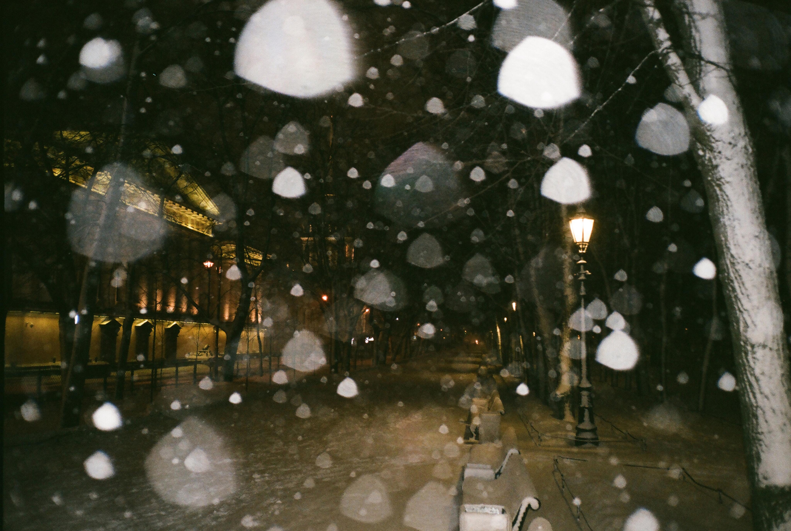 Фотографии цветные. Свадебный и семейный пленочный фотограф в Петербурге Истомина Ирина