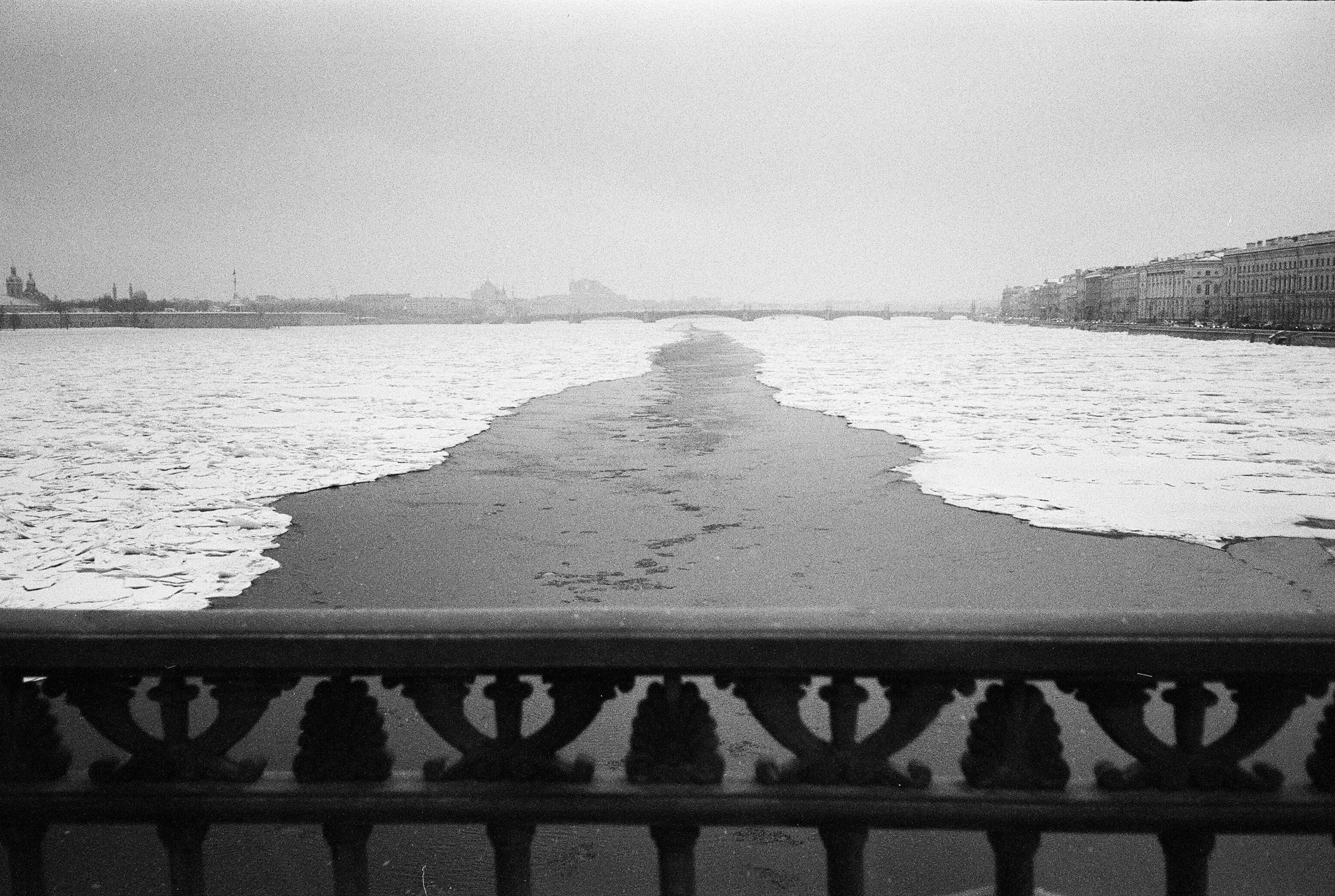 Фотографии черно-белые. Свадебный и семейный пленочный фотограф в Петербурге Истомина Ирина