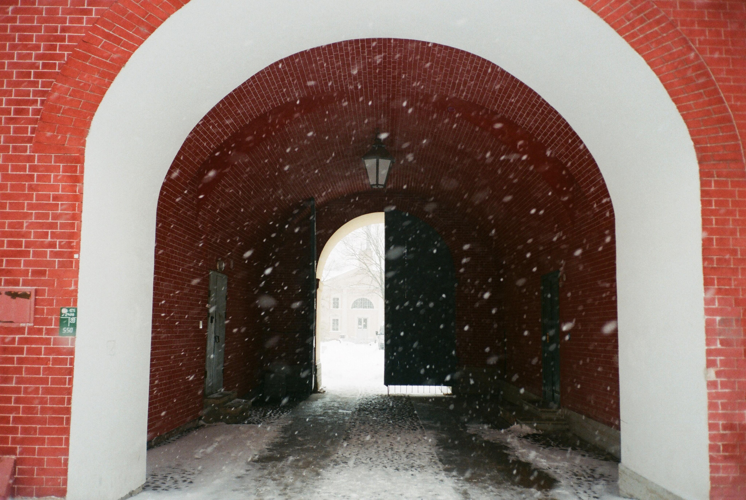 Фотографии цветные. Свадебный и семейный пленочный фотограф в Петербурге Истомина Ирина