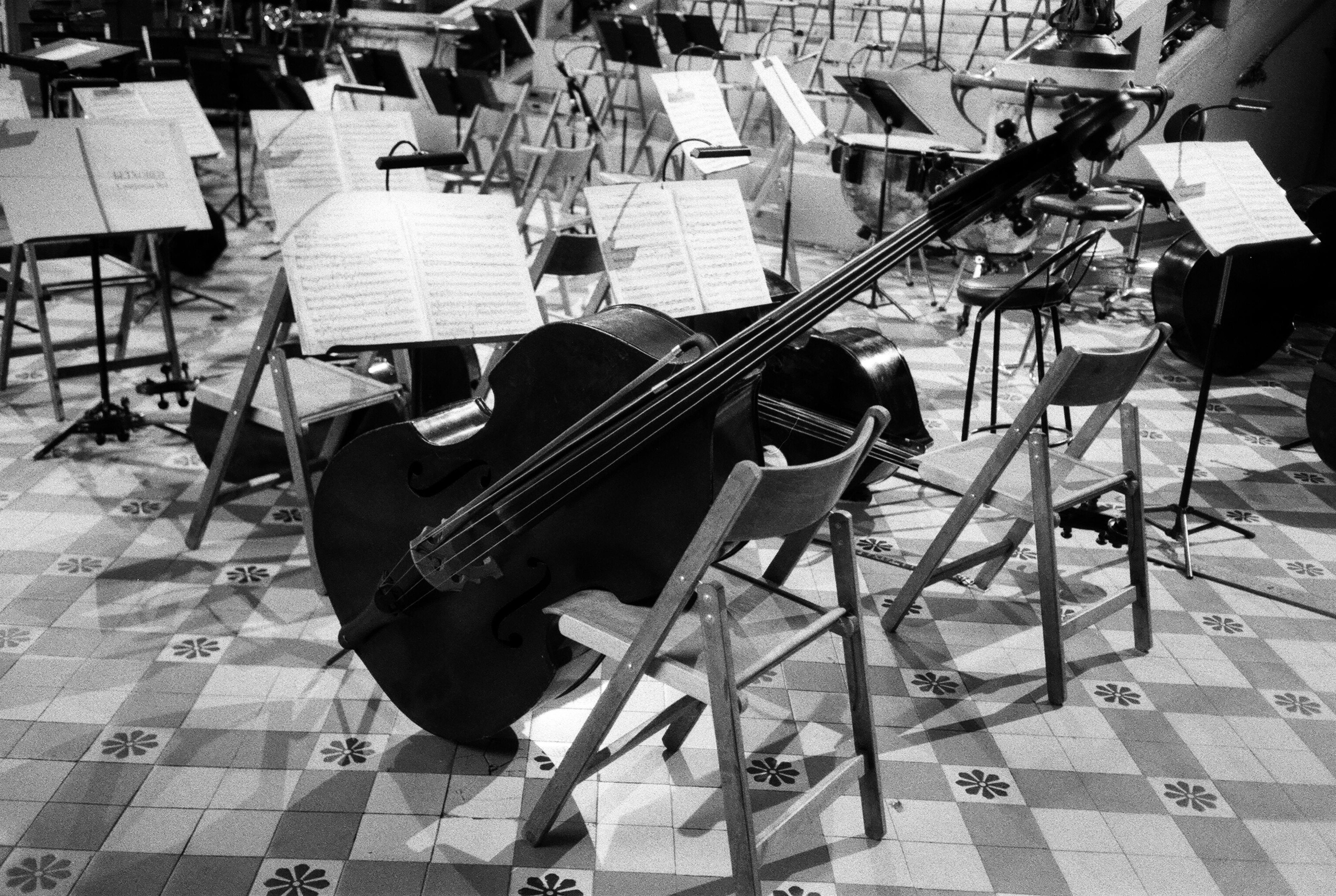 Фотографии черно-белые. Свадебный и семейный пленочный фотограф в Петербурге Истомина Ирина