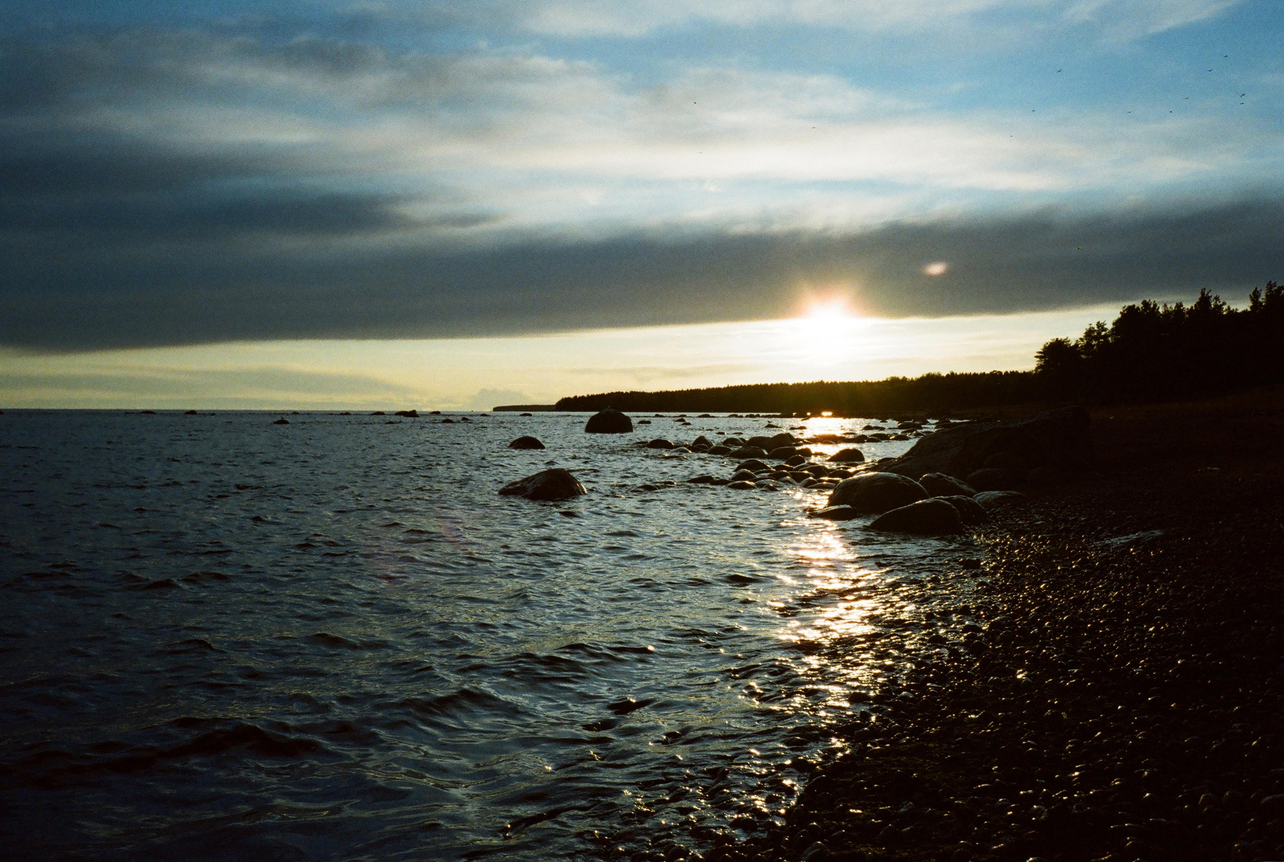 Фотографии цветные. Свадебный и семейный пленочный фотограф в Петербурге Истомина Ирина