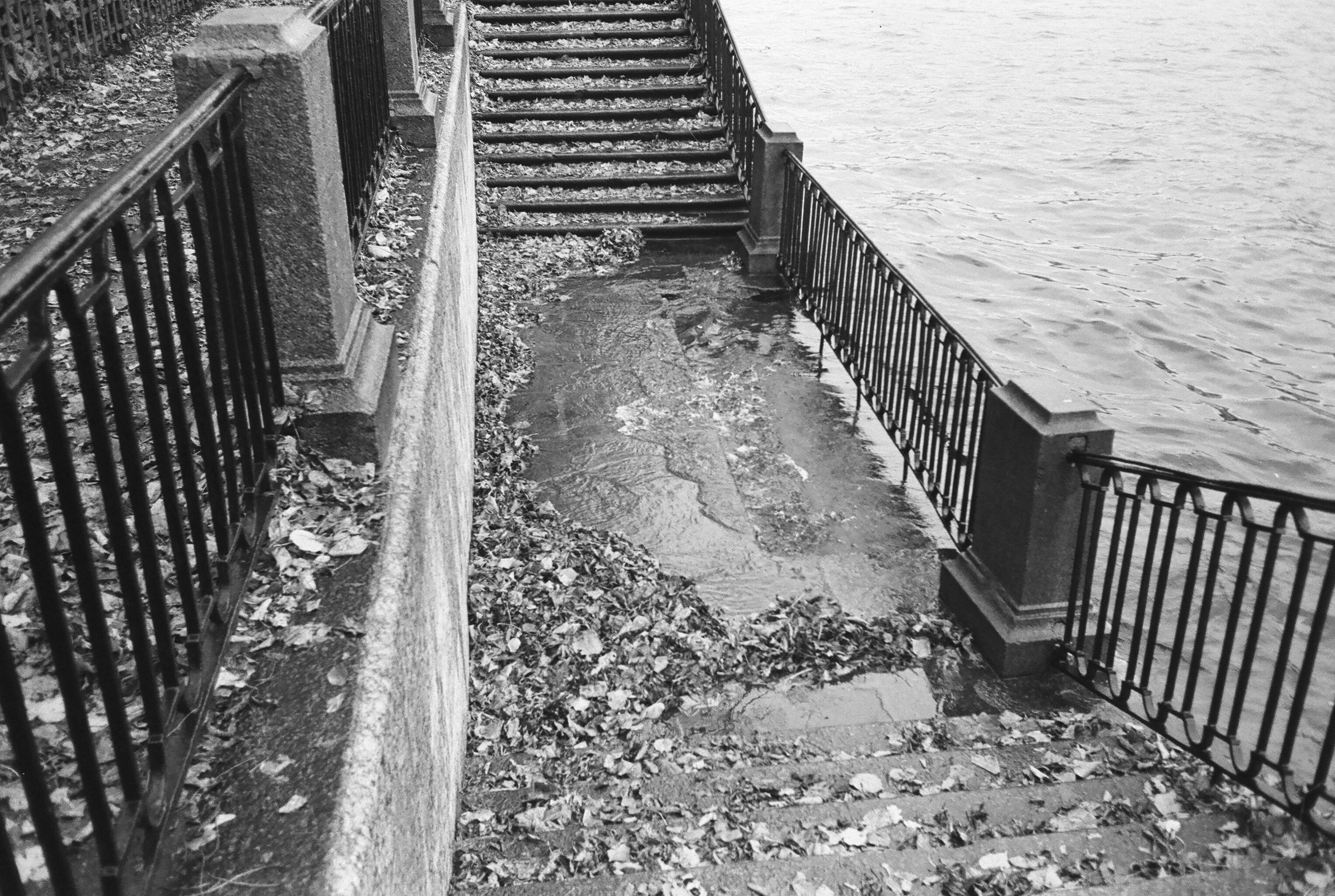 Фотографии черно-белые. Свадебный и семейный пленочный фотограф в Петербурге Истомина Ирина