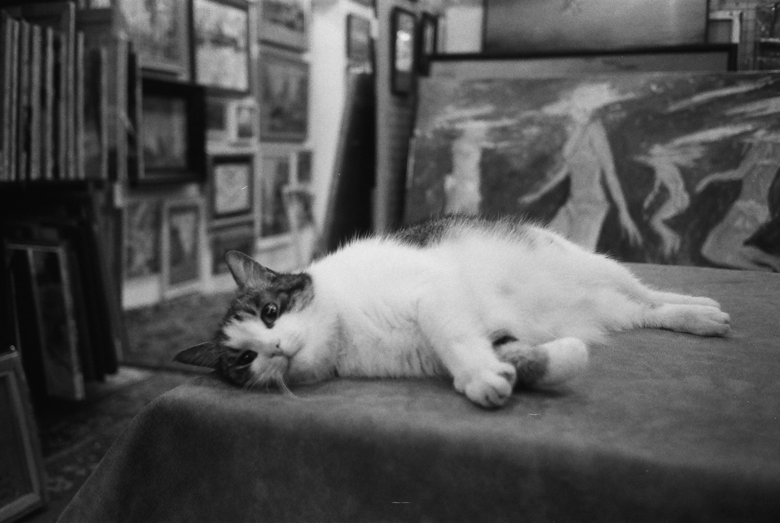 Фотографии черно-белые. Свадебный и семейный пленочный фотограф в Петербурге Истомина Ирина