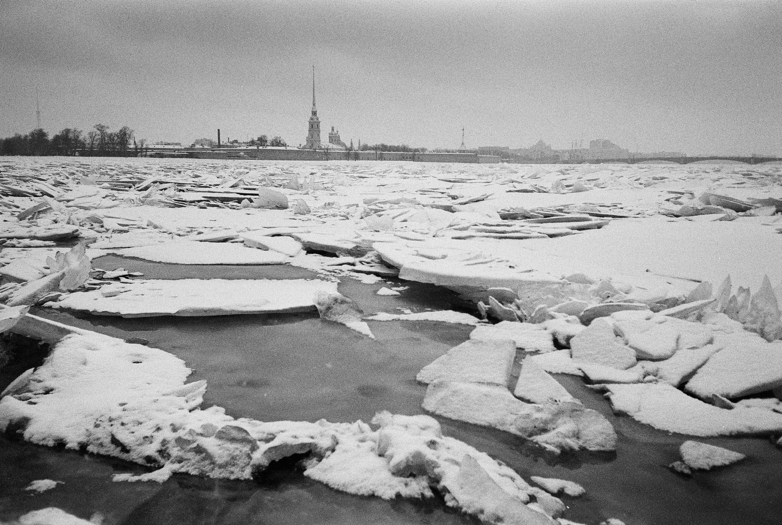 Фотографии черно-белые. Свадебный и семейный пленочный фотограф в Петербурге Истомина Ирина
