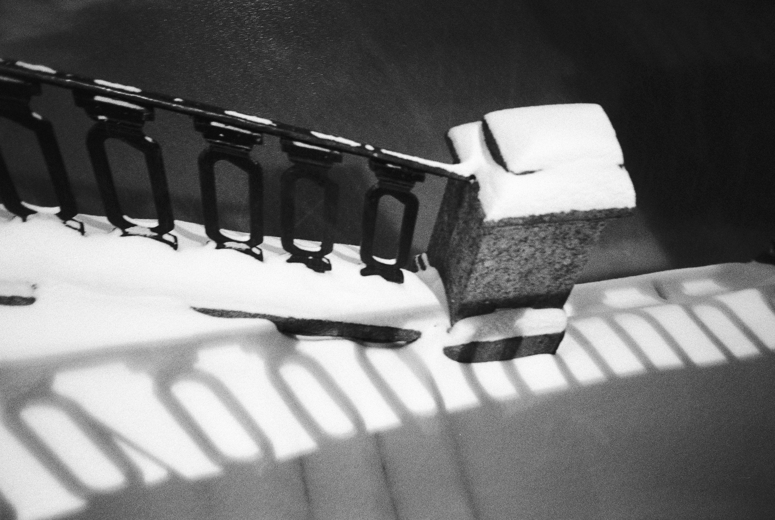 Фотографии черно-белые. Свадебный и семейный пленочный фотограф в Петербурге Истомина Ирина