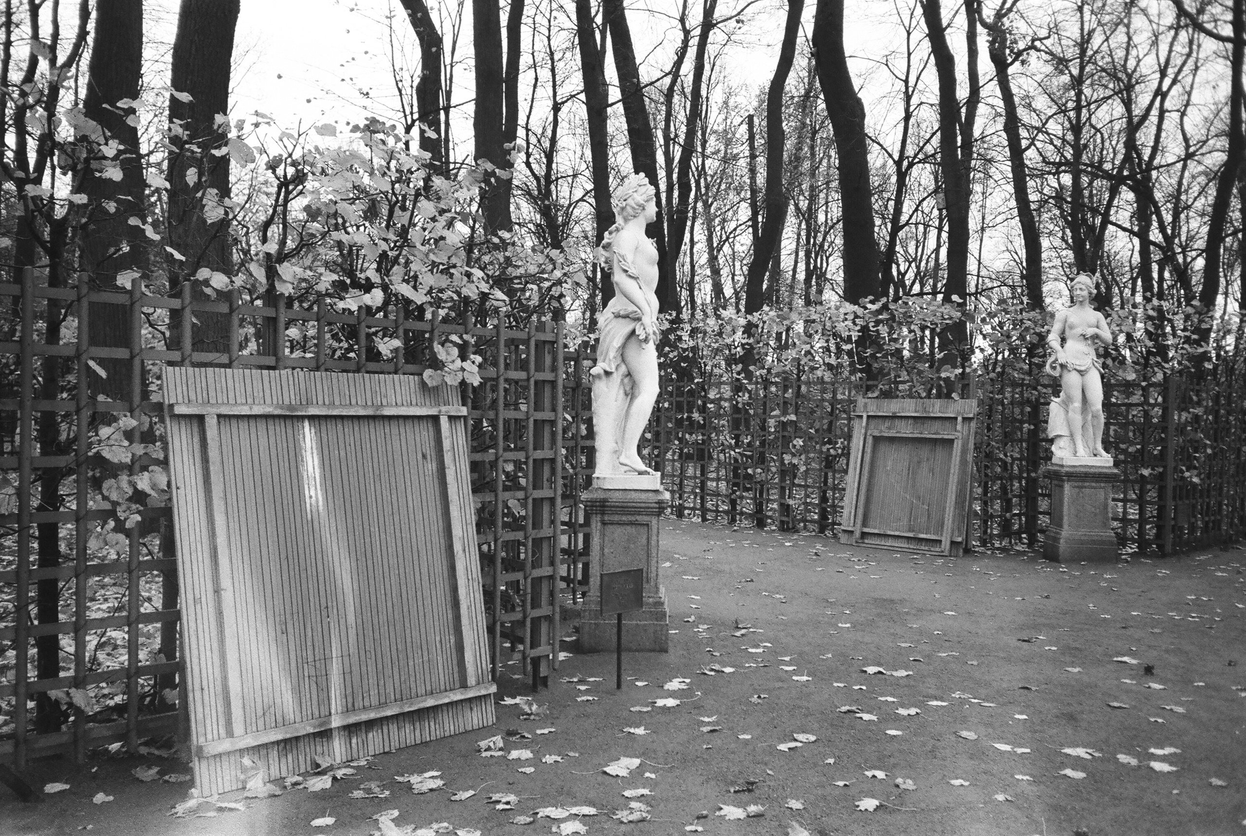 Фотографии черно-белые. Свадебный и семейный пленочный фотограф в Петербурге Истомина Ирина