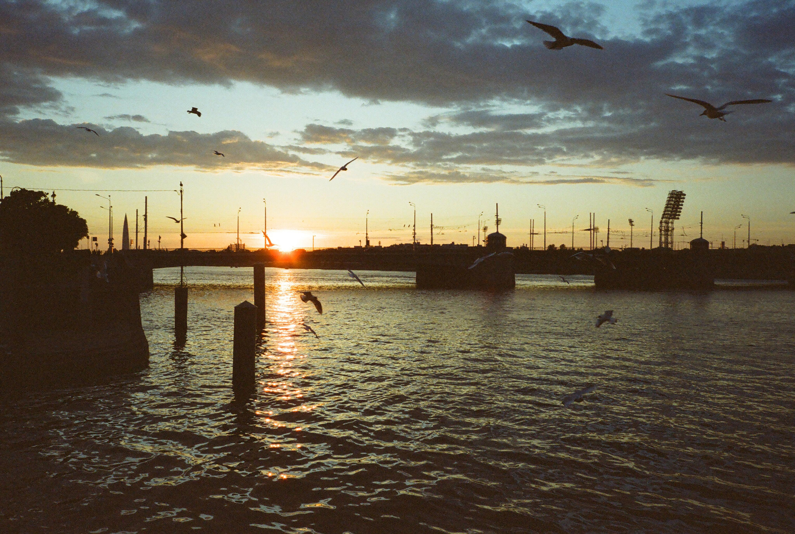 Фотографии цветные. Свадебный и семейный пленочный фотограф в Петербурге Истомина Ирина
