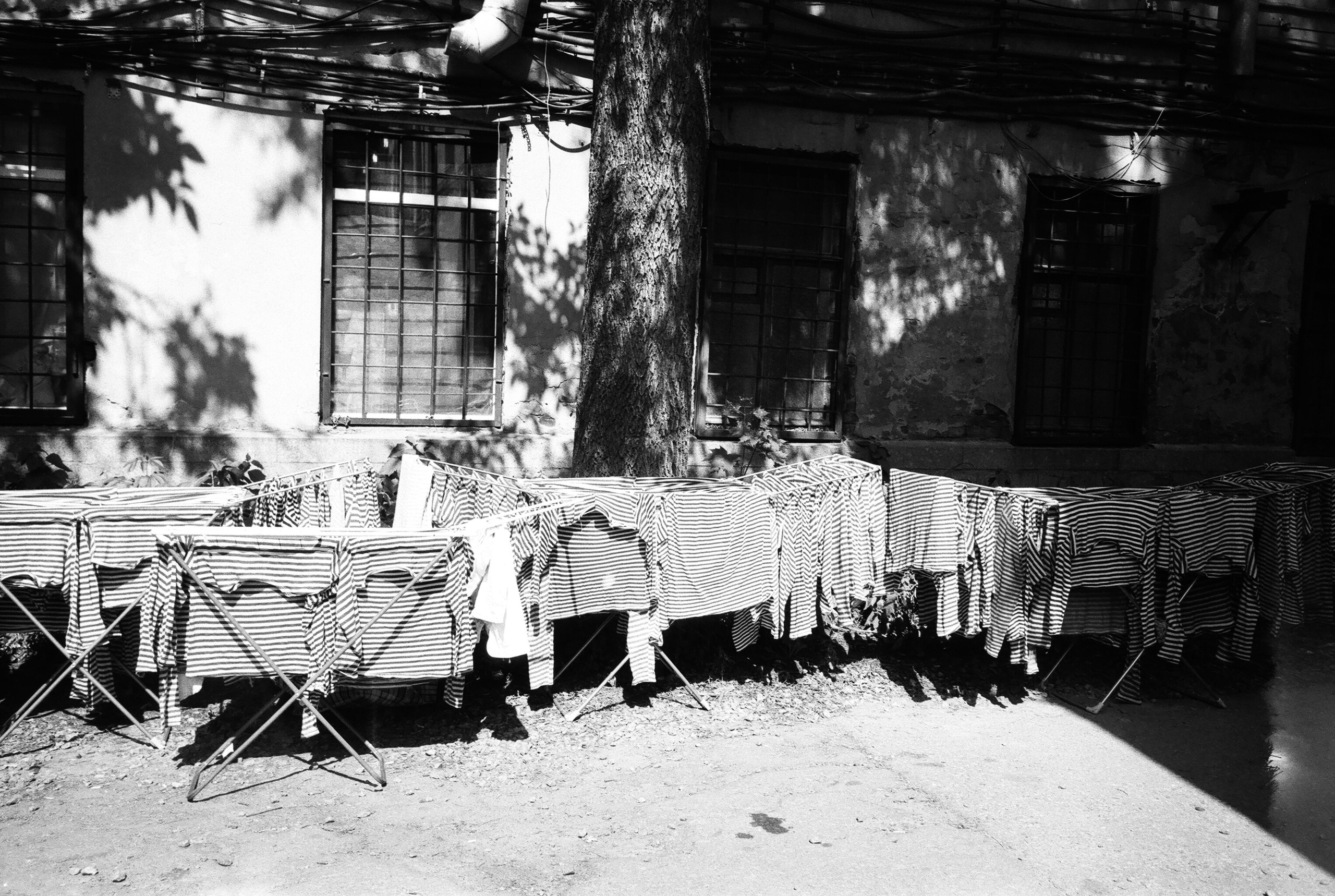 Фотографии черно-белые. Свадебный и семейный пленочный фотограф в Петербурге Истомина Ирина