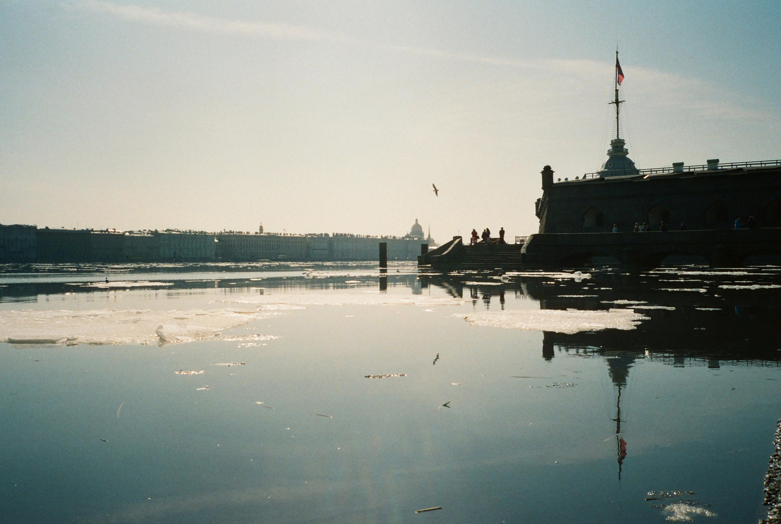 Фотографии цветные. Свадебный и семейный пленочный фотограф в Петербурге Истомина Ирина