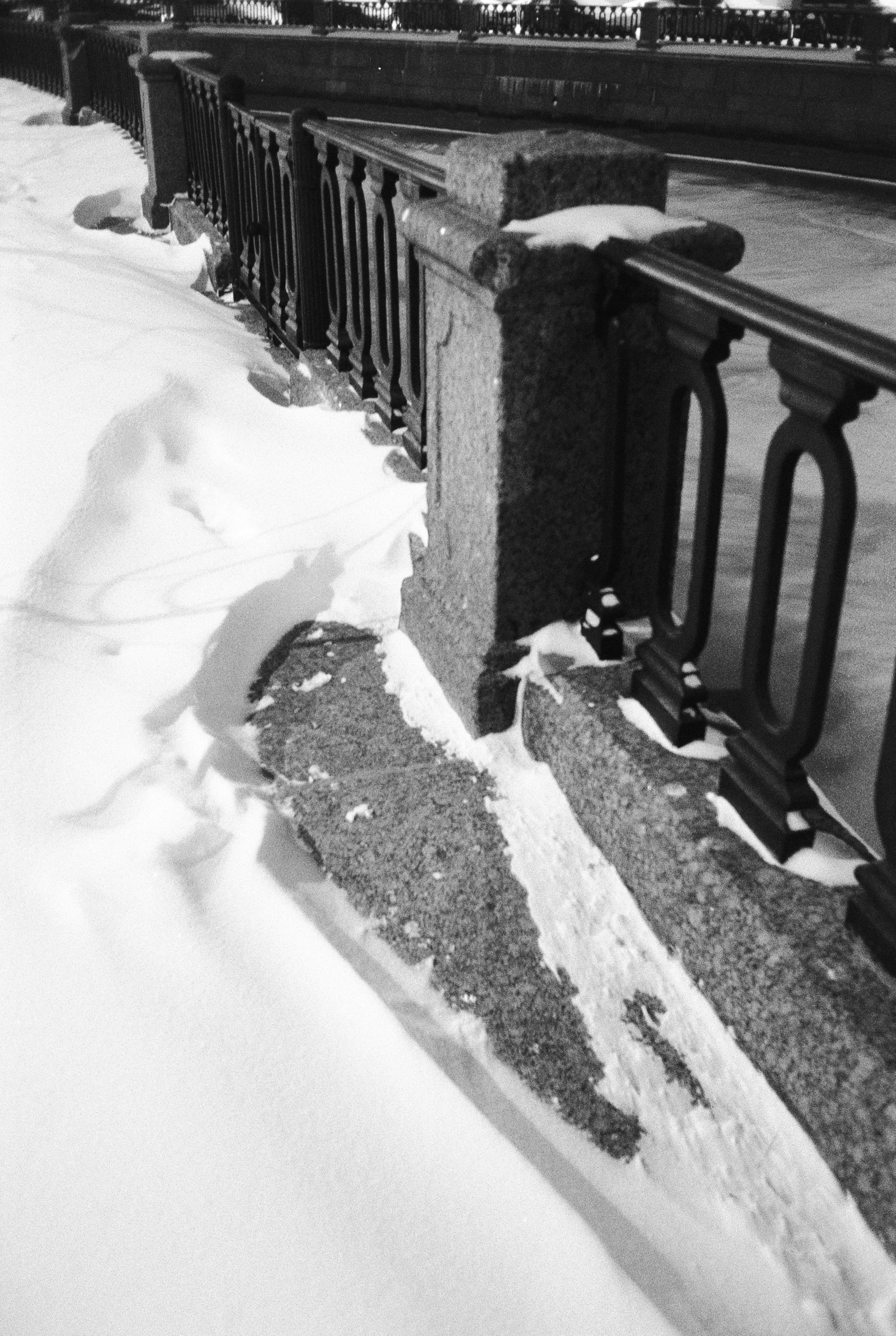 Фотографии черно-белые. Свадебный и семейный пленочный фотограф в Петербурге Истомина Ирина