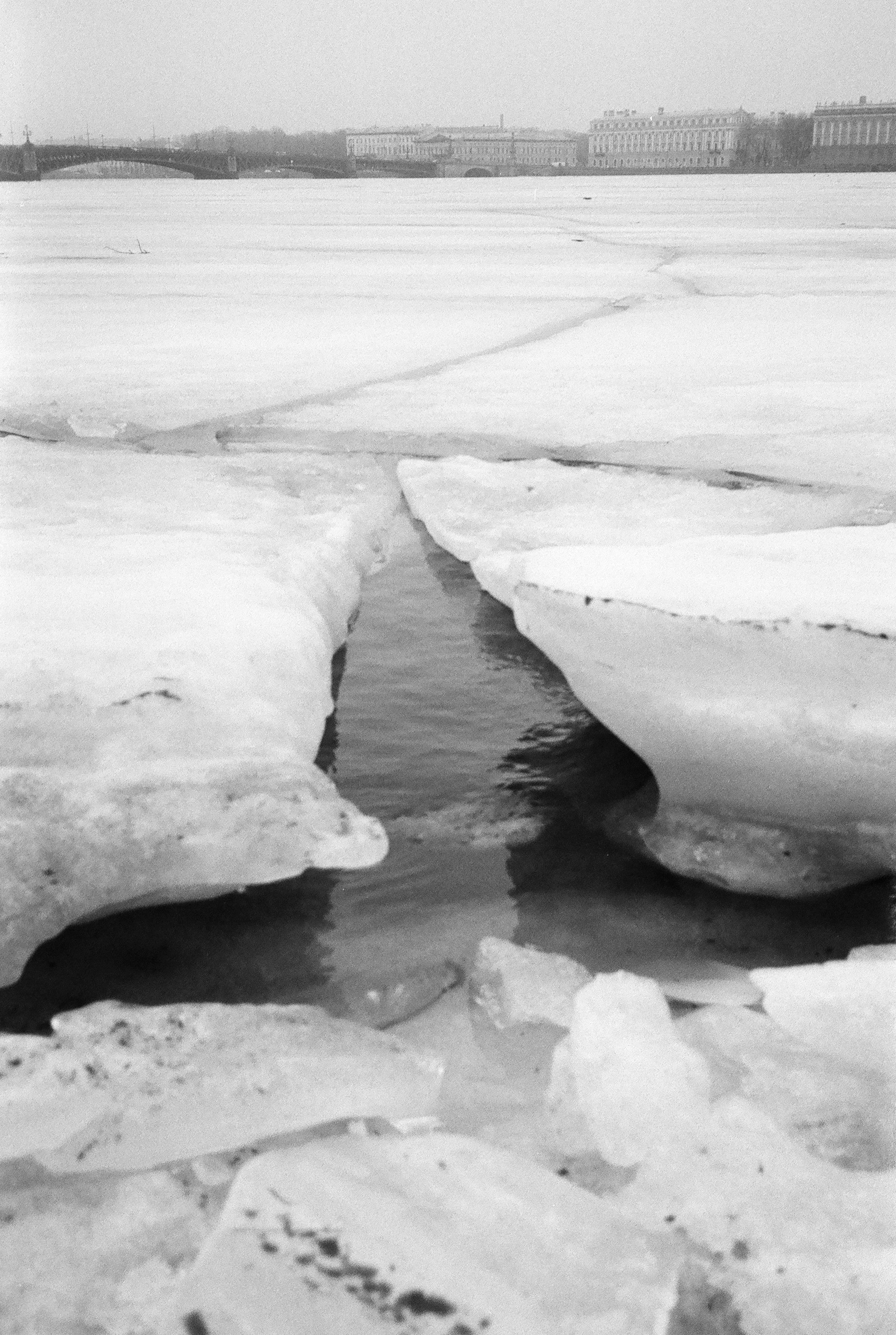 Фотографии черно-белые. Свадебный и семейный пленочный фотограф в Петербурге Истомина Ирина