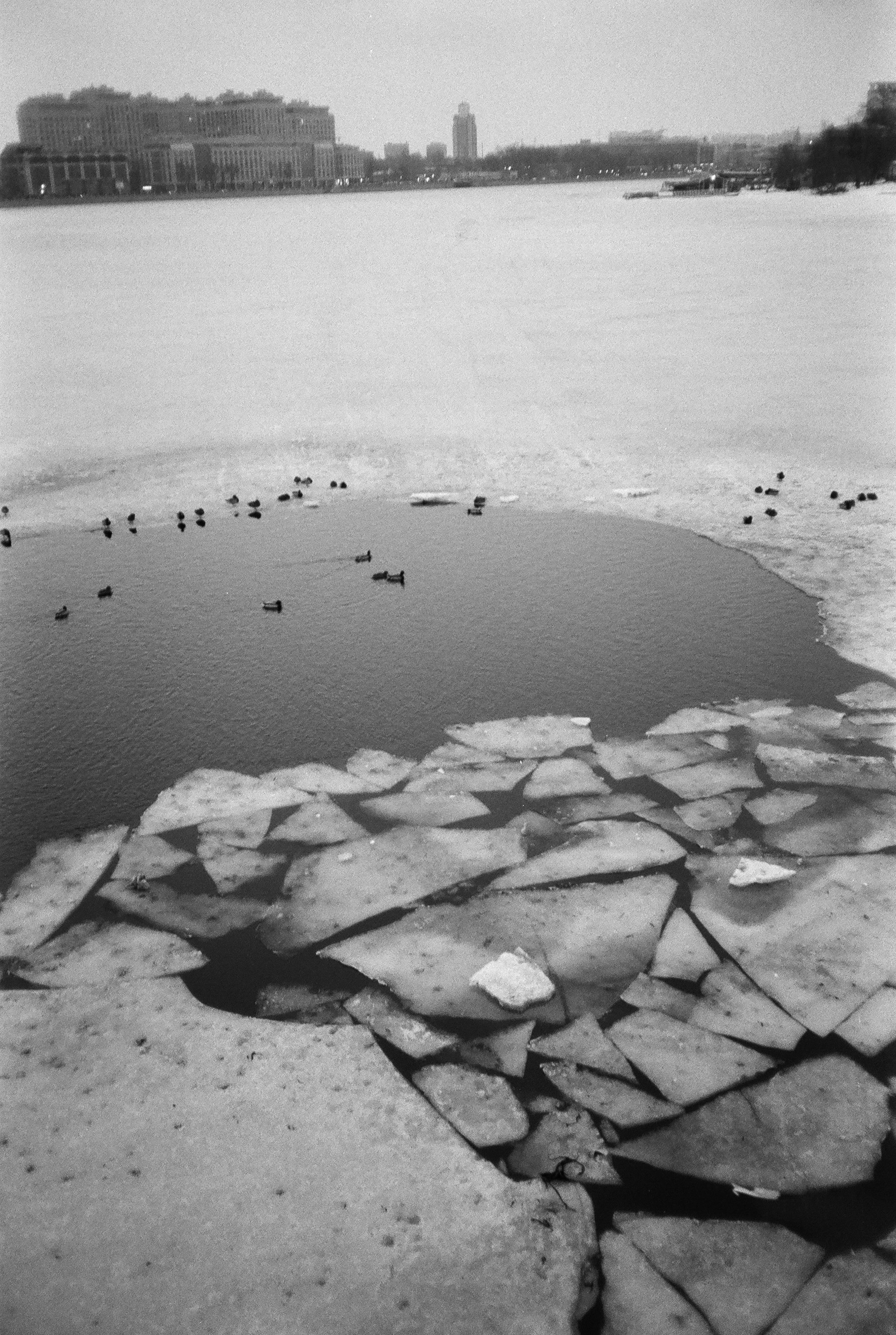Фотографии черно-белые. Свадебный и семейный пленочный фотограф в Петербурге Истомина Ирина