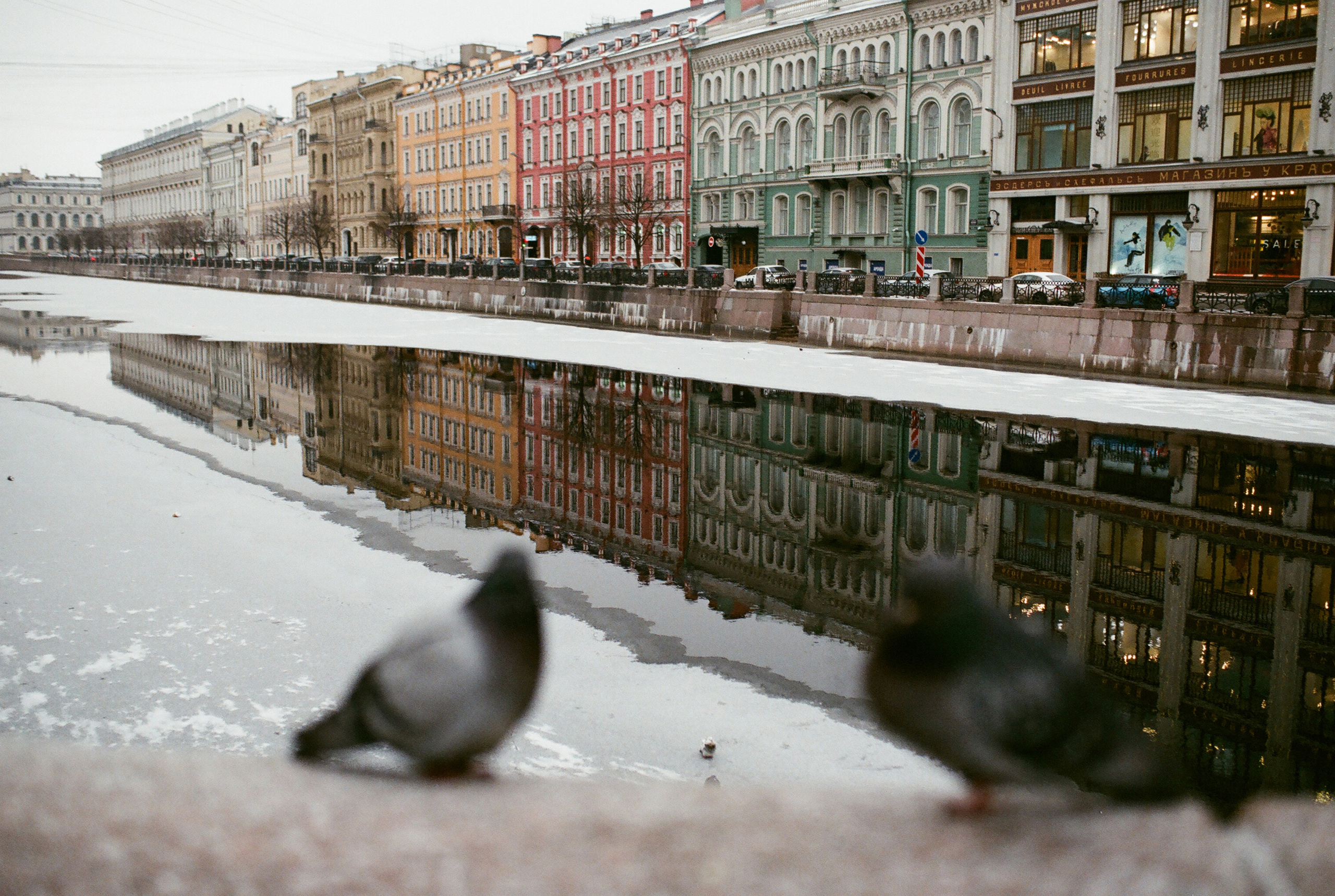 Фотографии цветные. Свадебный и семейный пленочный фотограф в Петербурге Истомина Ирина