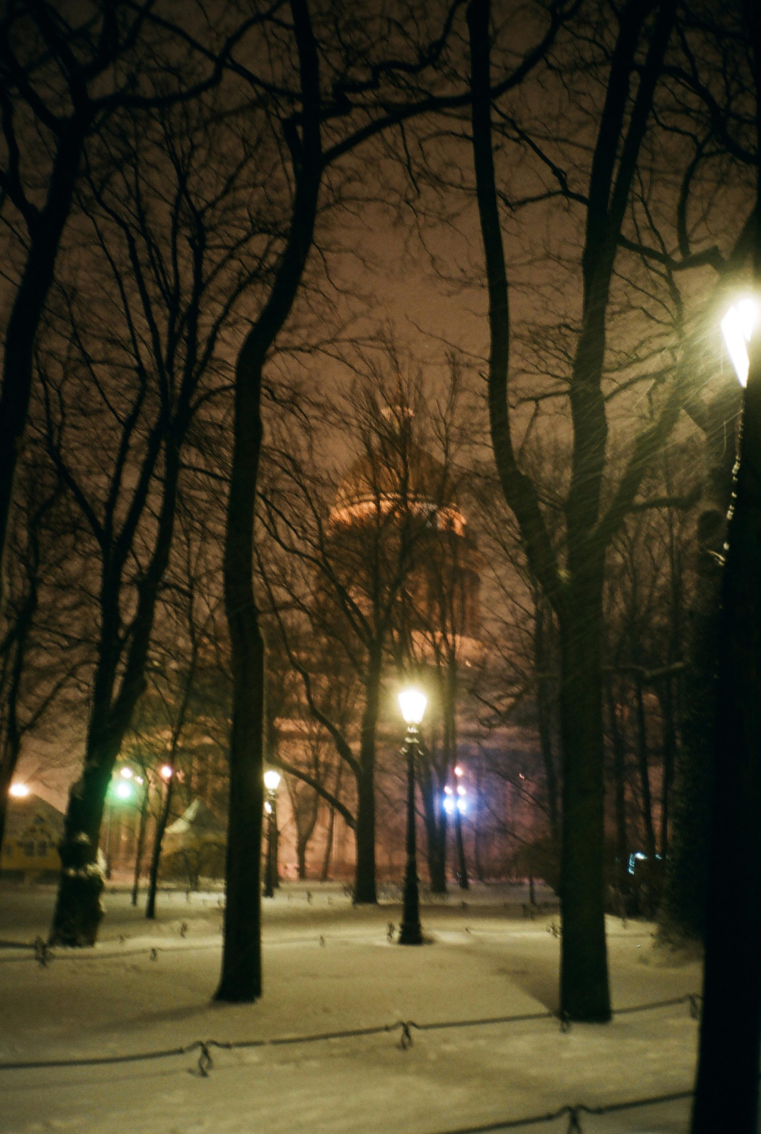 Фотографии цветные. Свадебный и семейный пленочный фотограф в Петербурге Истомина Ирина