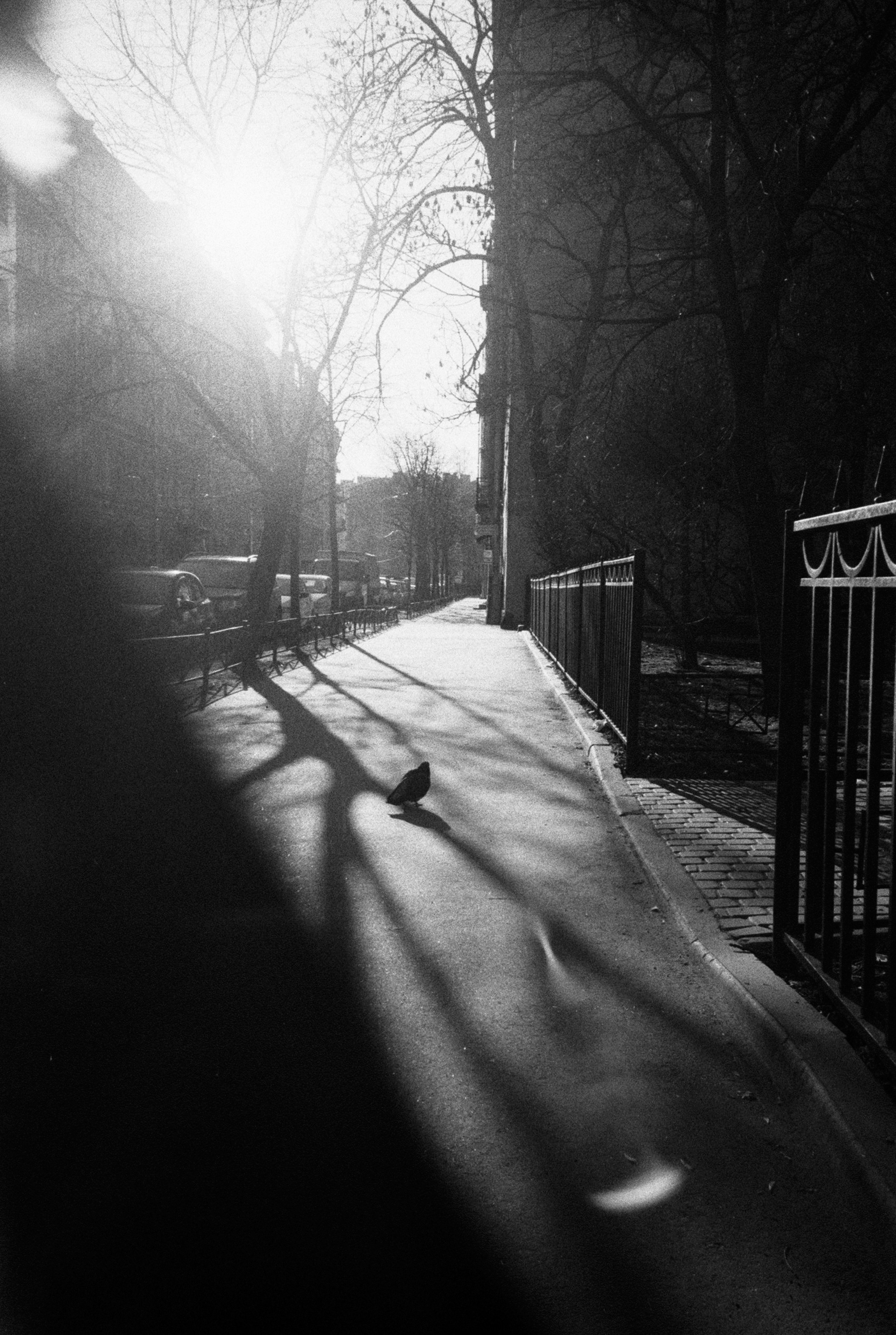 Фотографии черно-белые. Свадебный и семейный пленочный фотограф в Петербурге Истомина Ирина