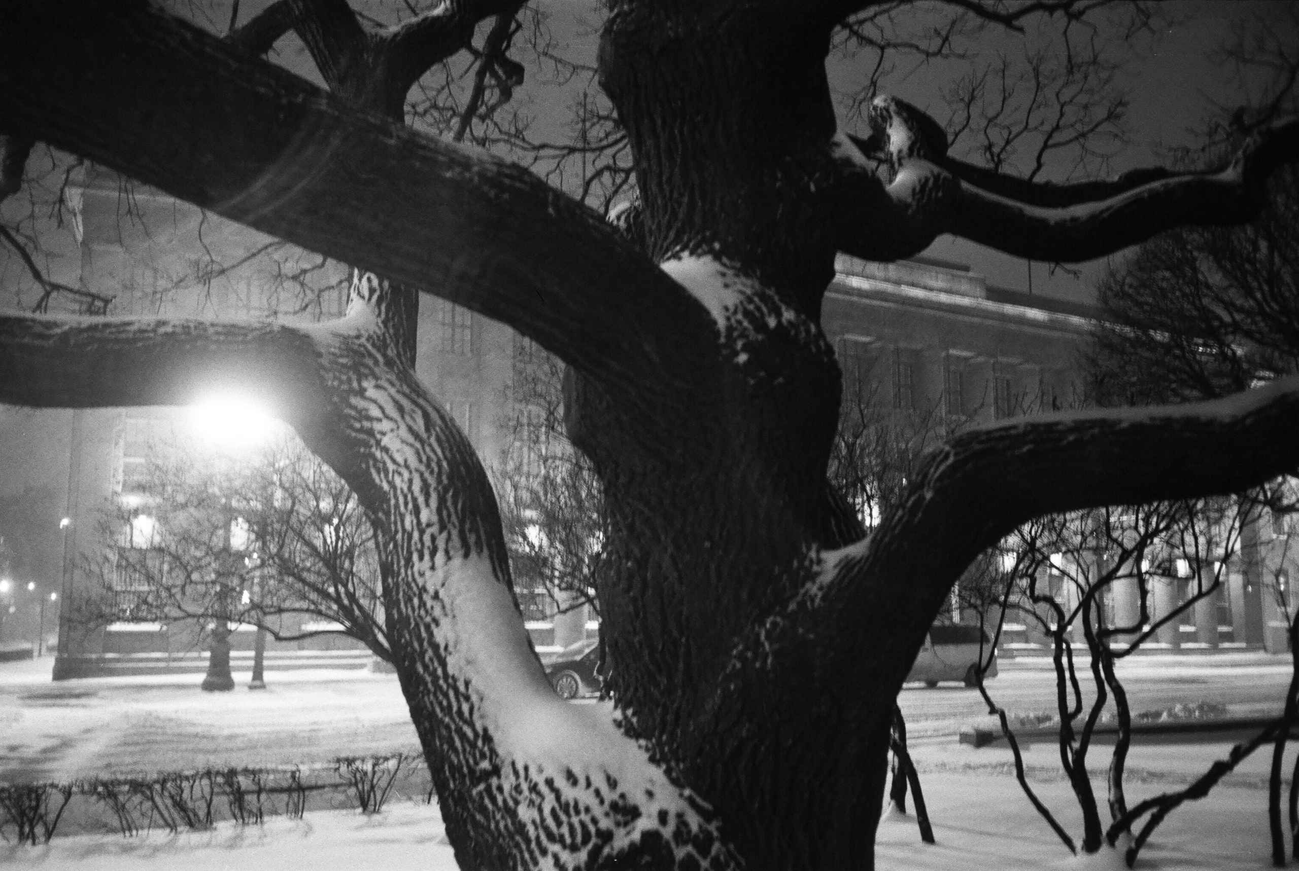 Фотографии черно-белые. Свадебный и семейный пленочный фотограф в Петербурге Истомина Ирина