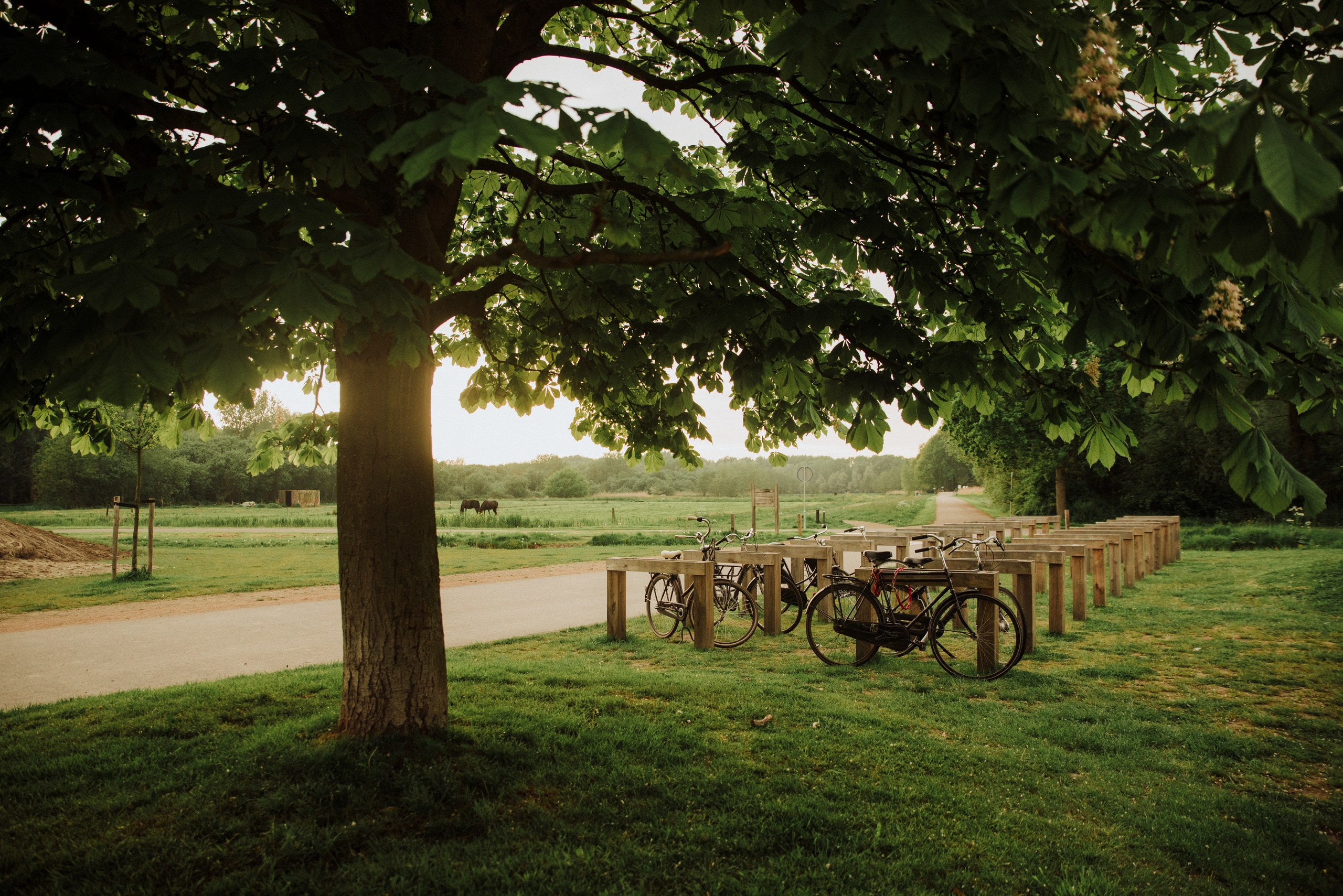 IZ_AMSTERDAMA_S_LUBOVU. Wedding photographer in Europe