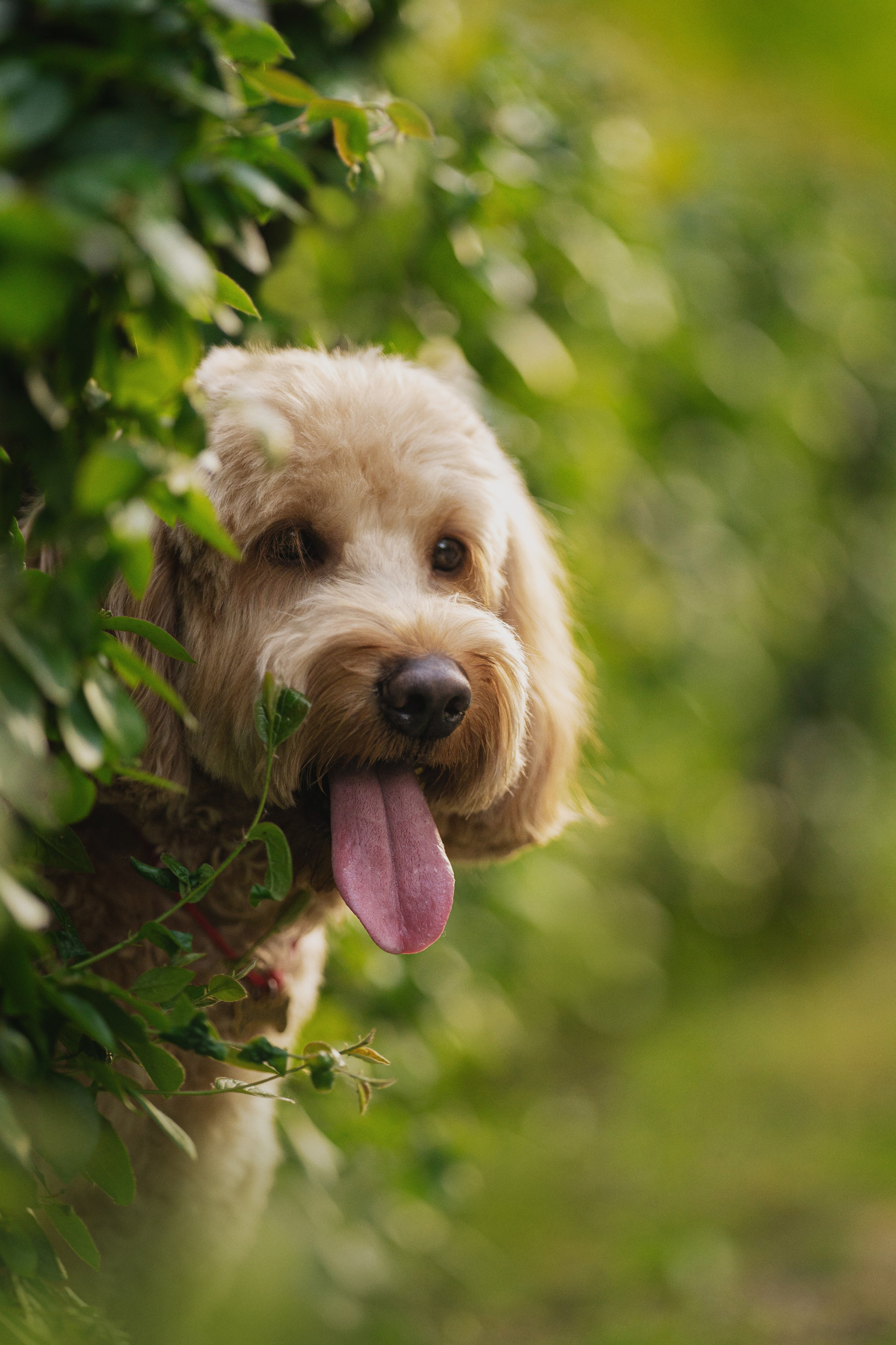 Алла и ее мальчики. Kameramotor74