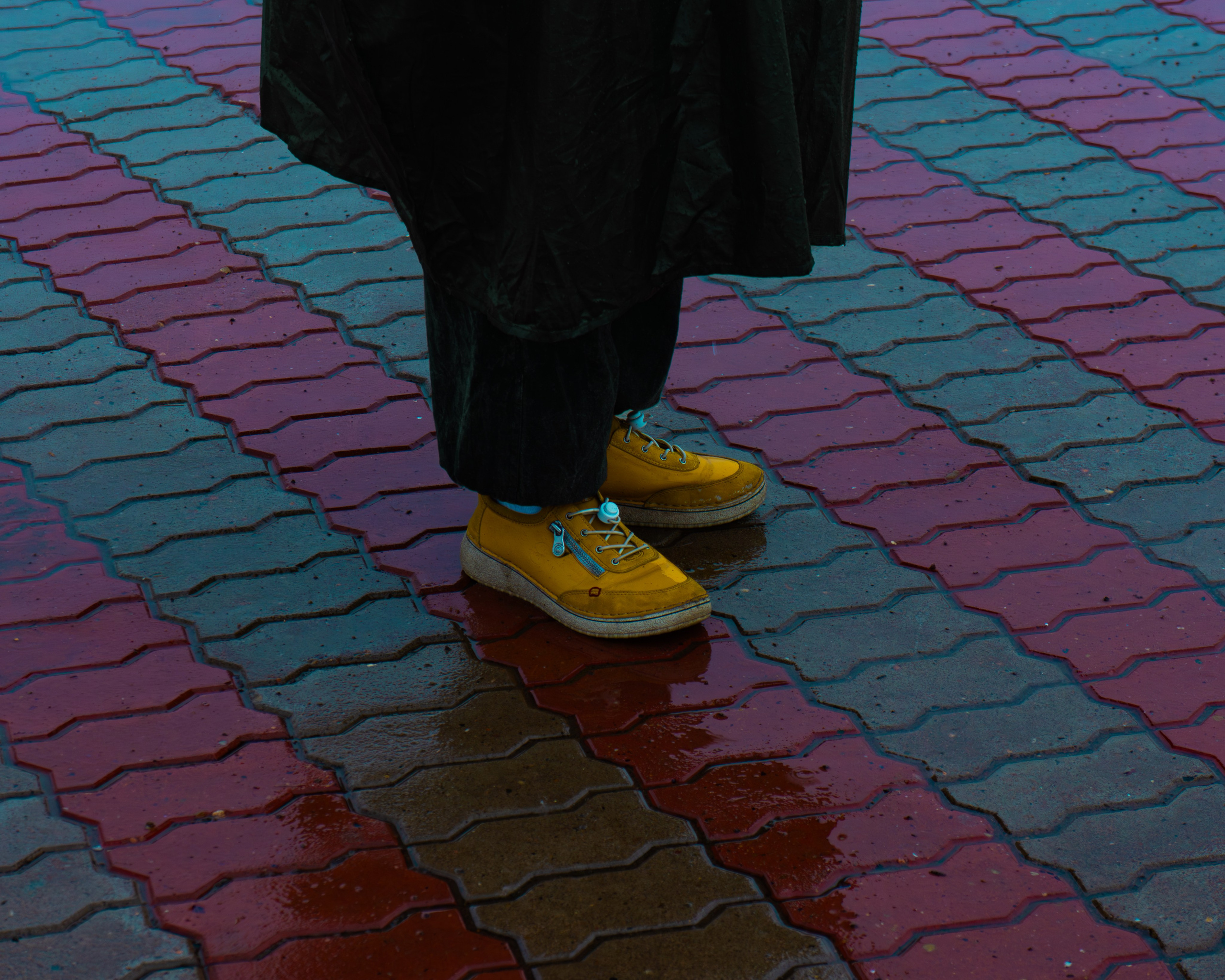 Conceptual. AndreyRKT Photo