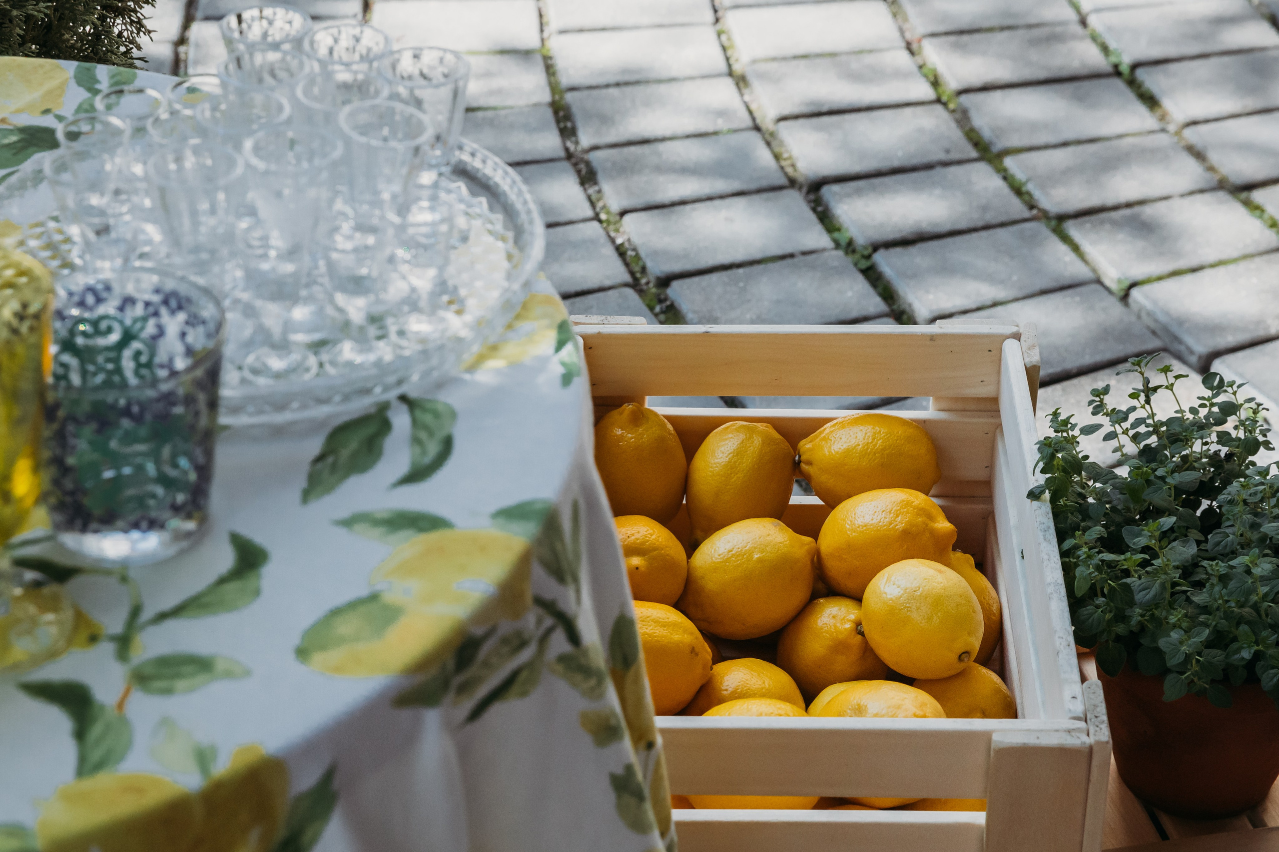 Родные люди «Итальянский день». Леся Гаранина. Семейный фотограф/видеограф Москва и область