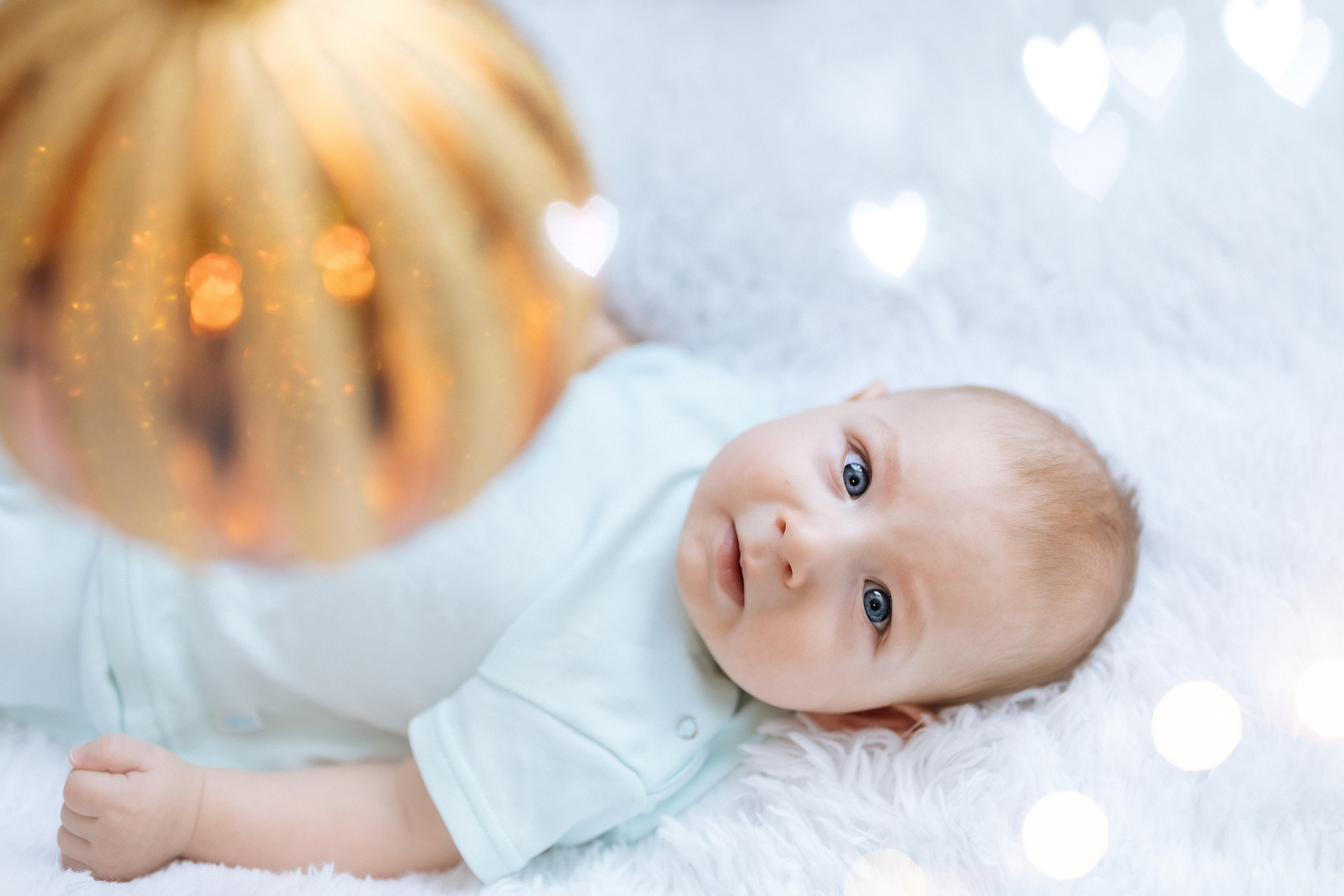 Аня и Матвей. Профессиональный фотограф, Москва |Видное Елена Елизарова