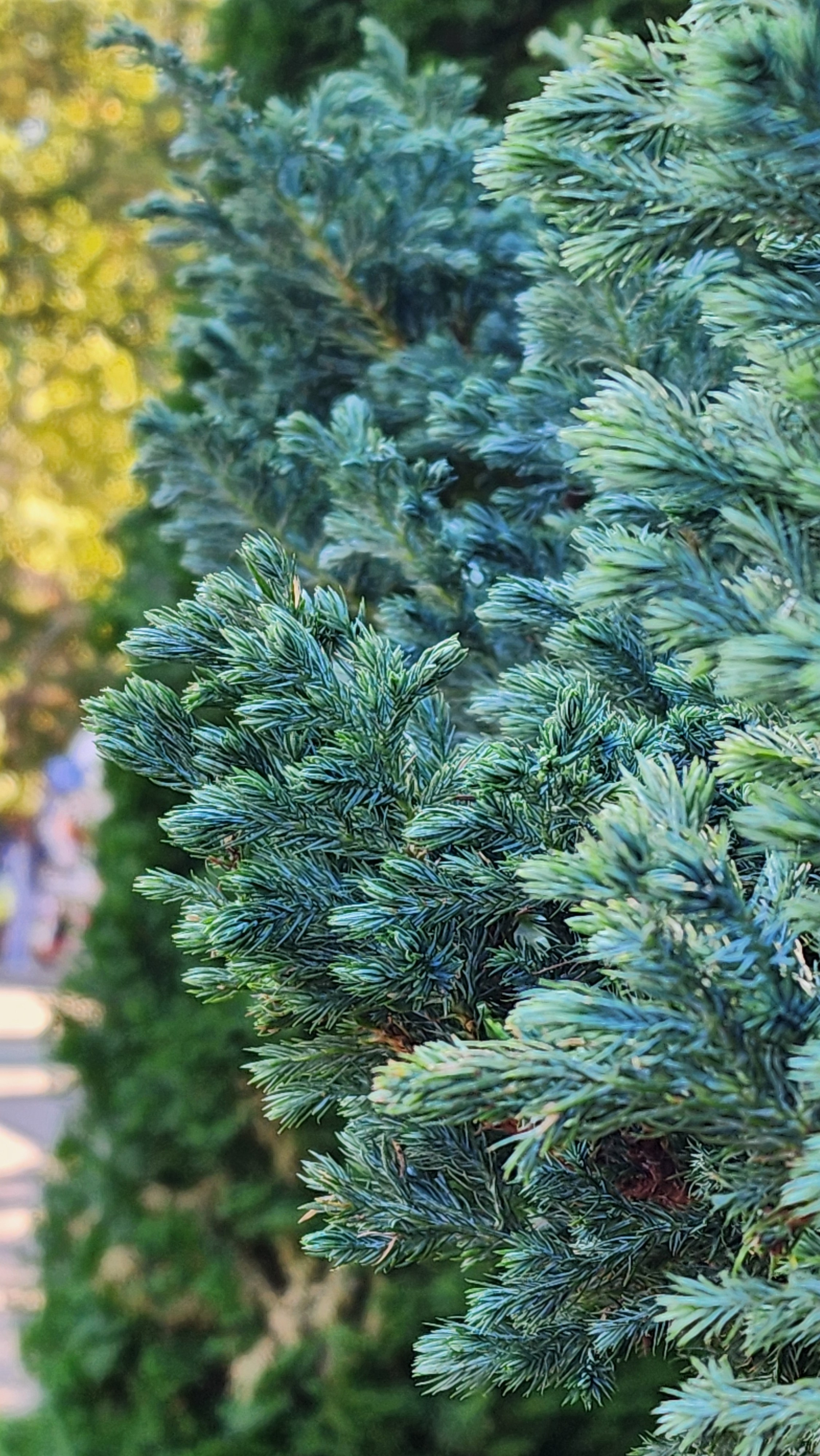 Горячий Ключ (2024-09-22). Собор Отрасли