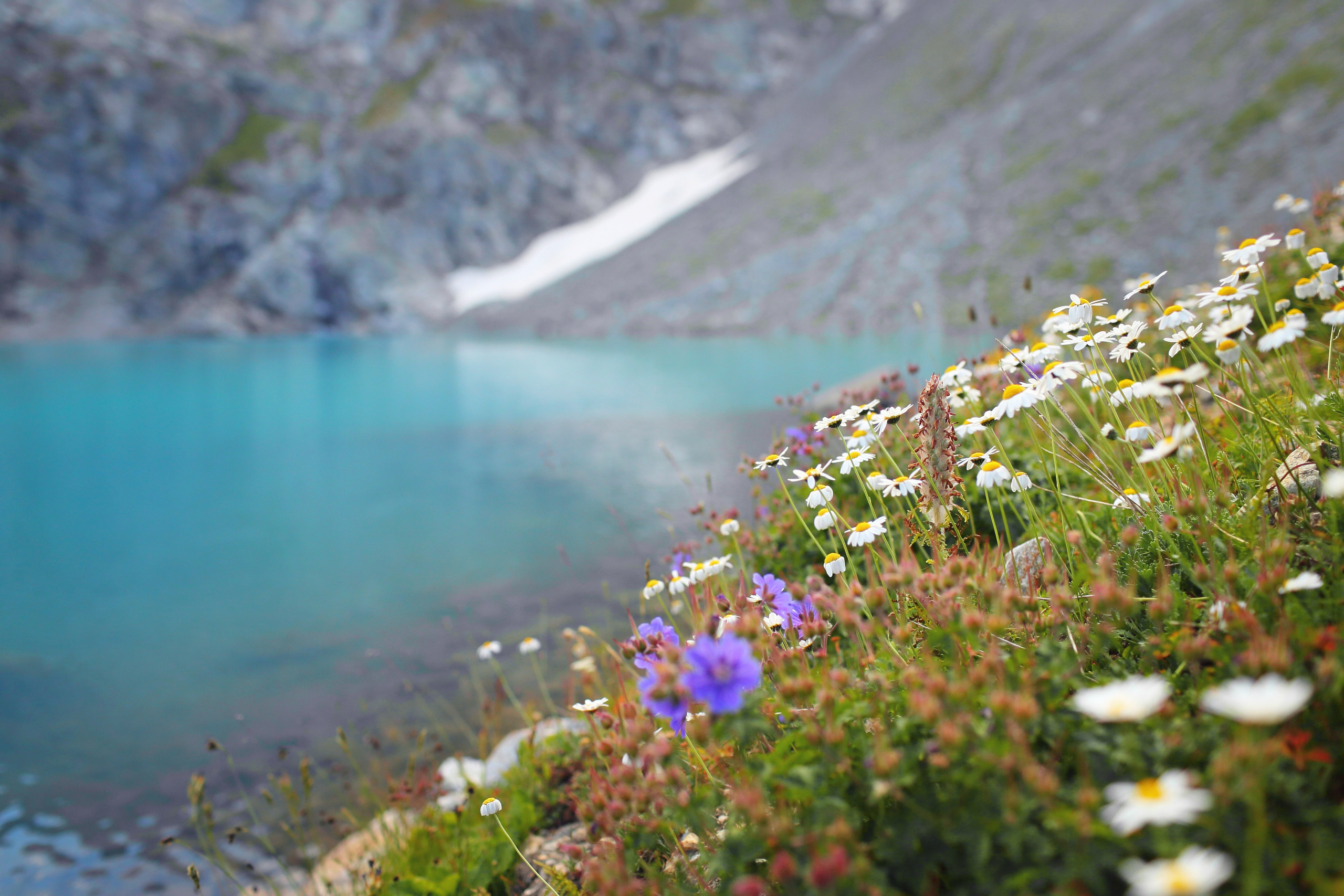 Кавказ. Свадебный и репортажный фотограф в Ярославле и Санкт-Петербурге Роман Микрюков