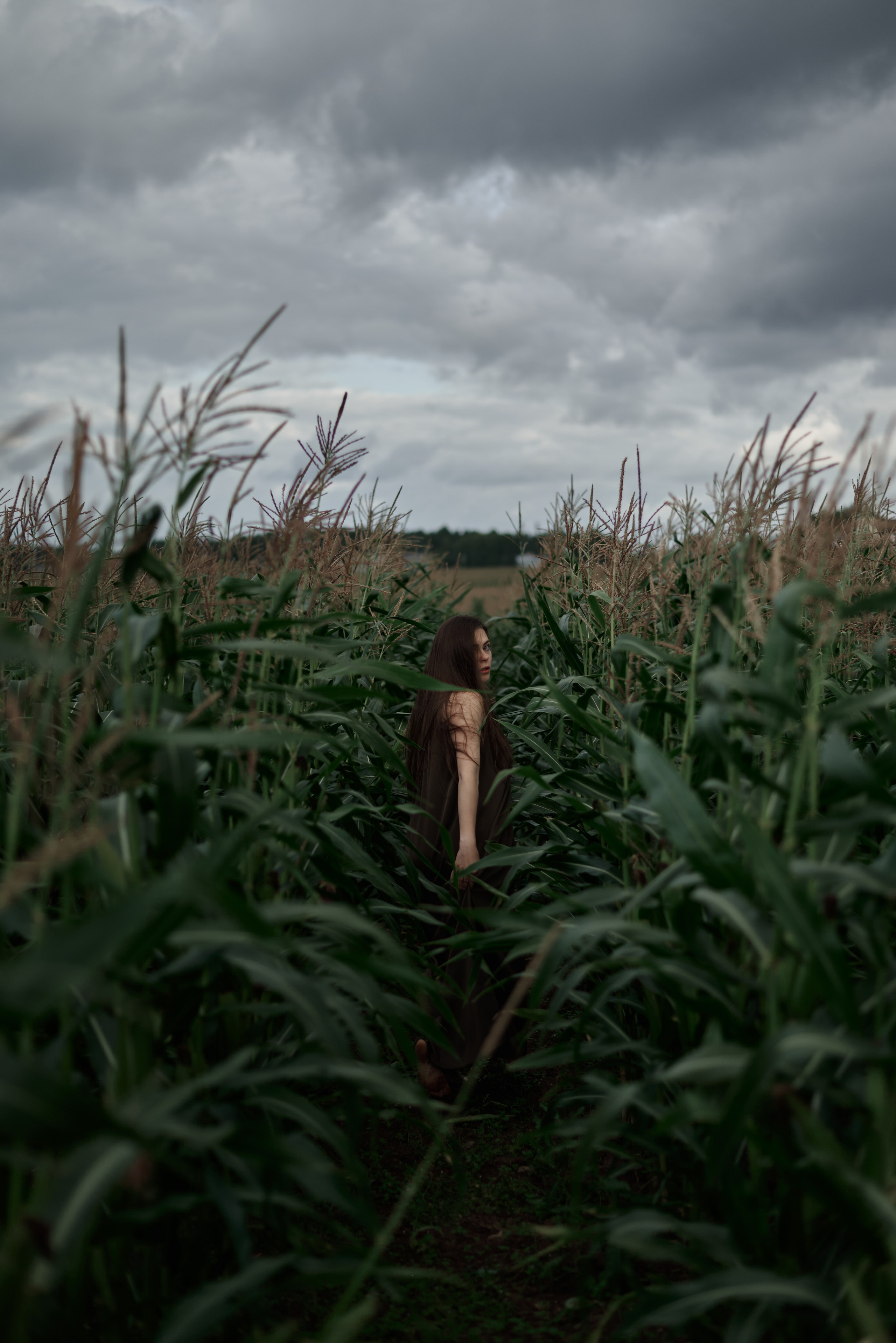 Рита — Corn Field. Photographer Bangkok — Pattaya | фотограф Бангкок — Паттайа