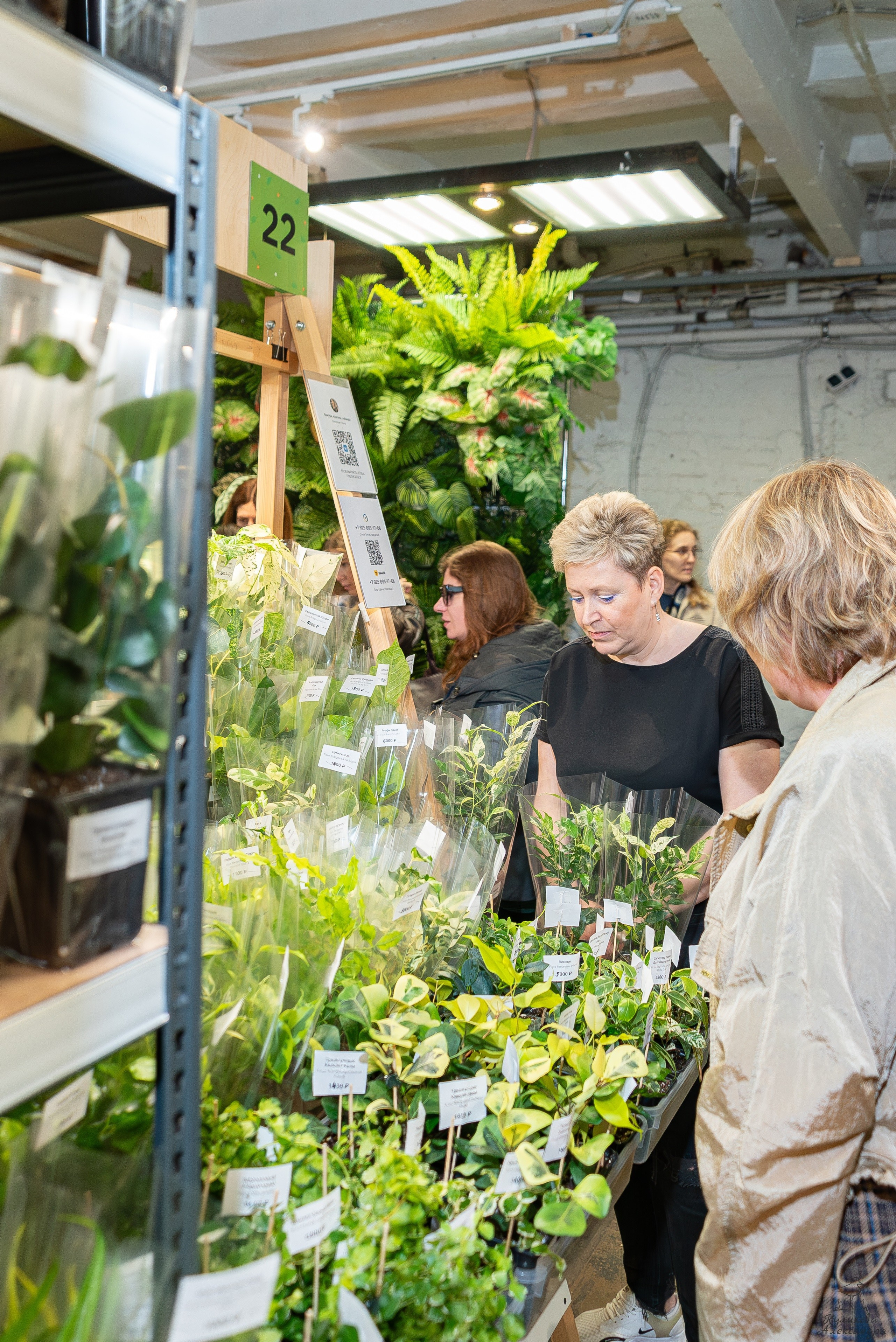 Гроубокс Артплей апрель. Александра Куликова фотограф, Москва