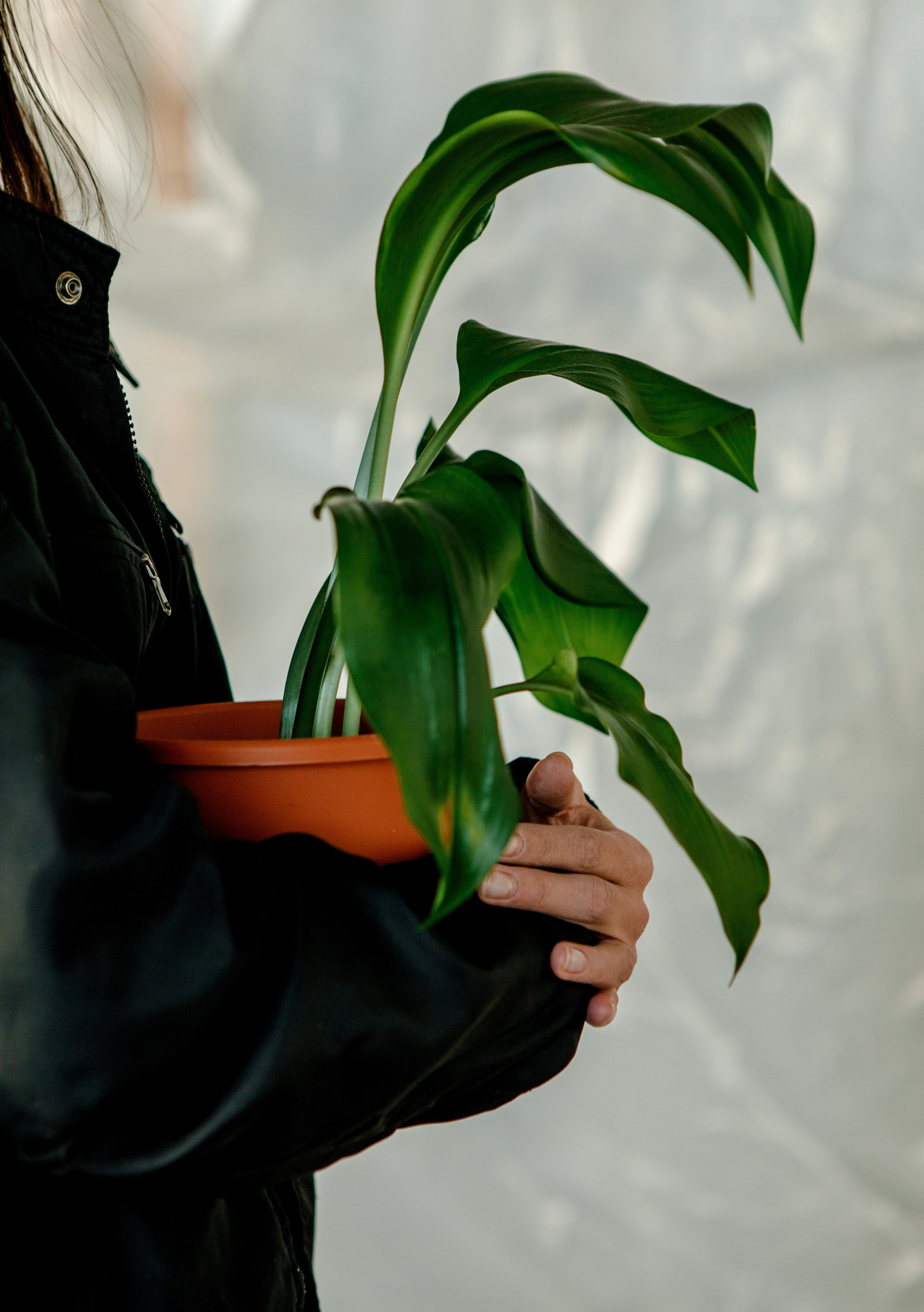Эльвина и Александр. Свадебный и семейный фотограф Ибрагимова Мария из Екатеринбурга