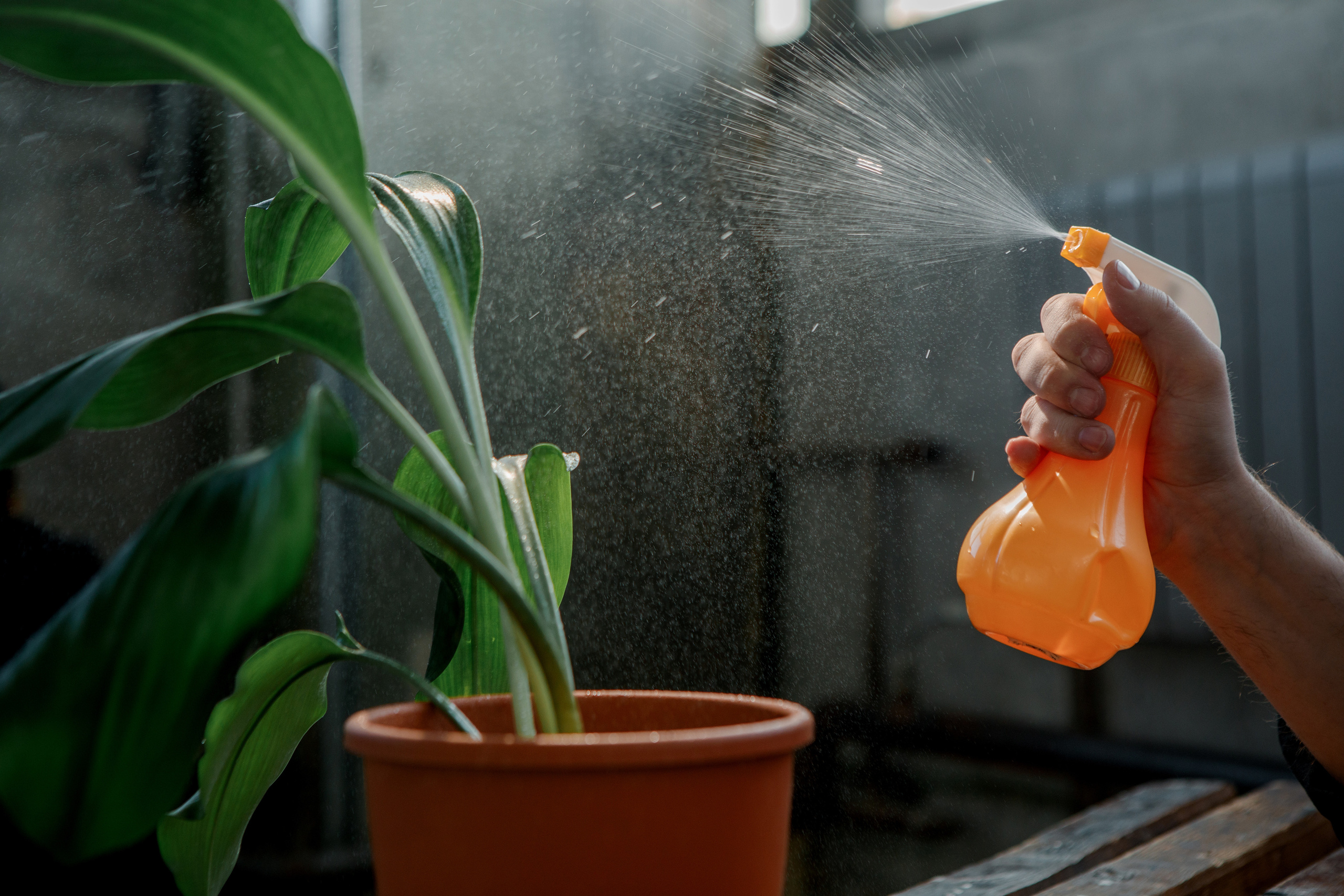 Эльвина и Александр. Свадебный и семейный фотограф Ибрагимова Мария из Екатеринбурга