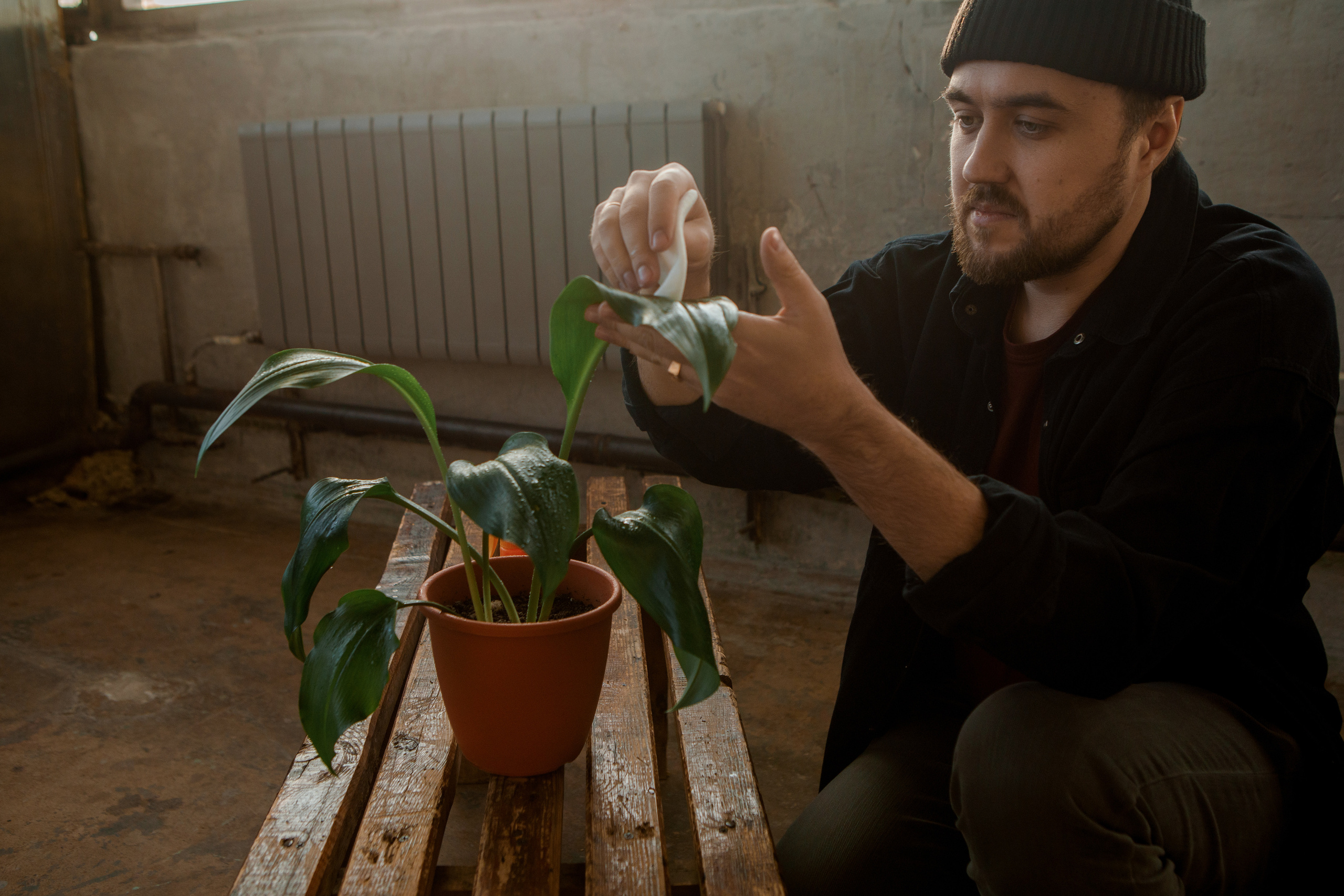 Эльвина и Александр. Свадебный и семейный фотограф Ибрагимова Мария из Екатеринбурга