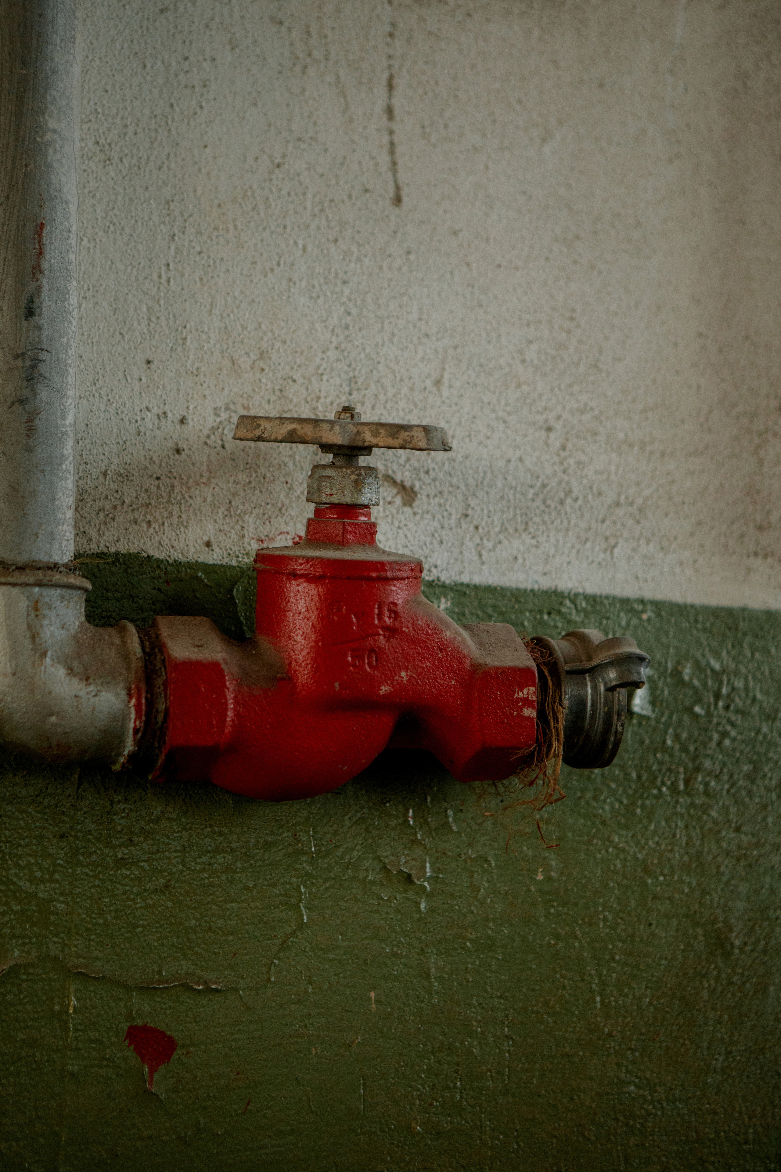 Эльвина и Александр. Свадебный и семейный фотограф Ибрагимова Мария из Екатеринбурга