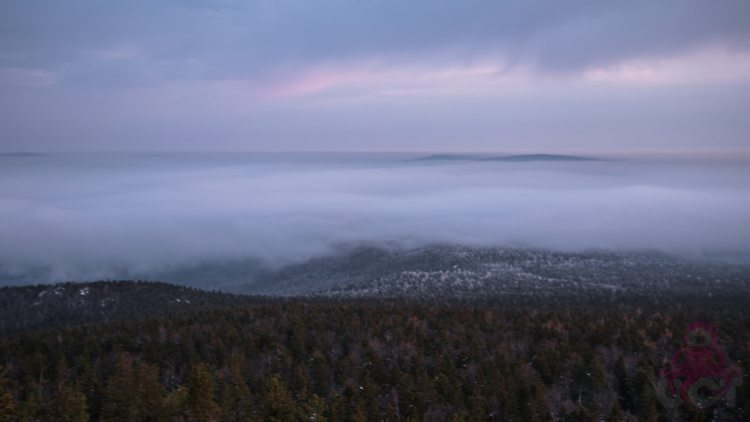 Буддистский монастырь Шад Тчуп Линг. Предметный и репортажный фотограф Алексей Кротов