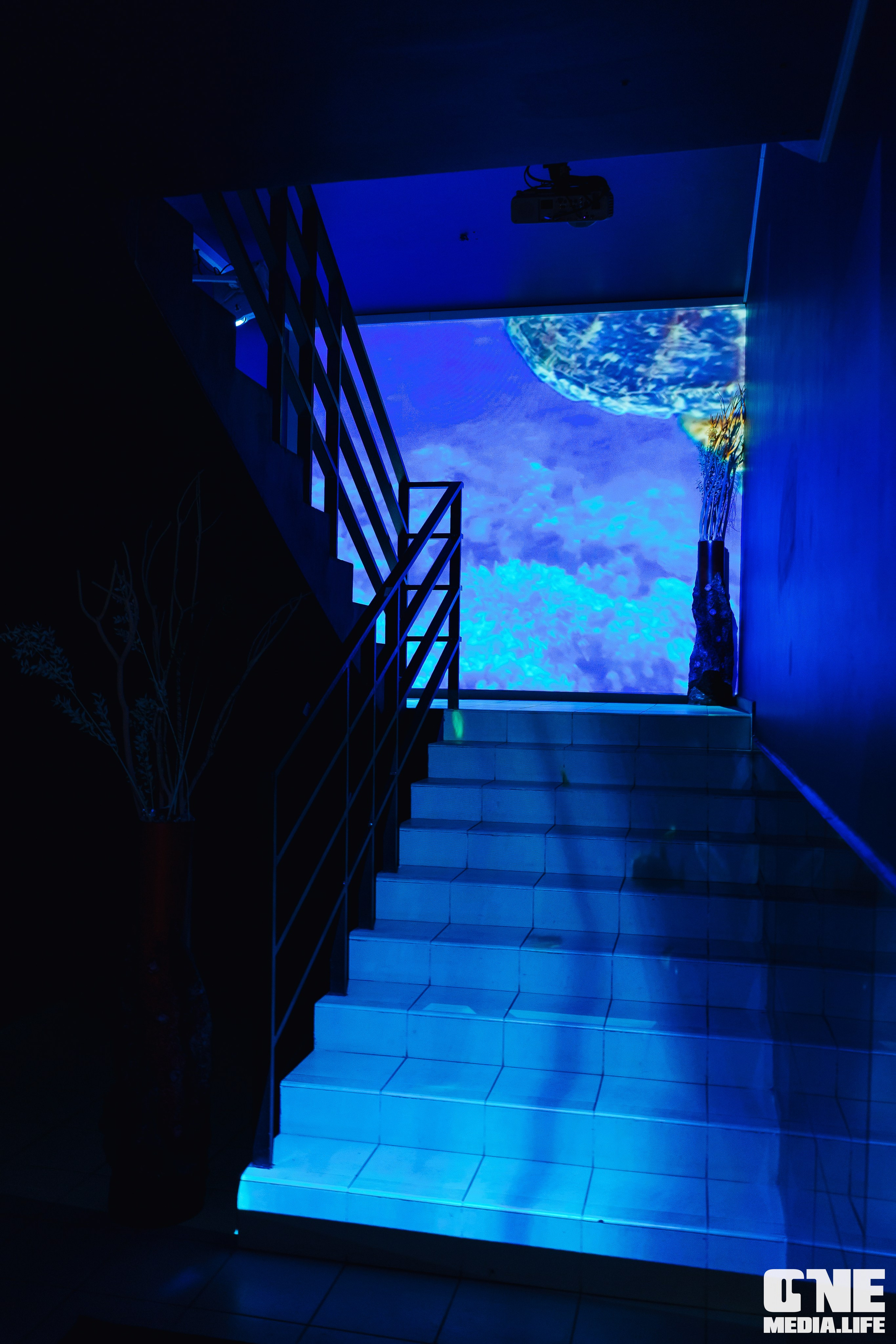 Фоторепортаж из ресторана Океан. One Media Life: фоторепортажи, фотоотчеты с мероприятий и заведений