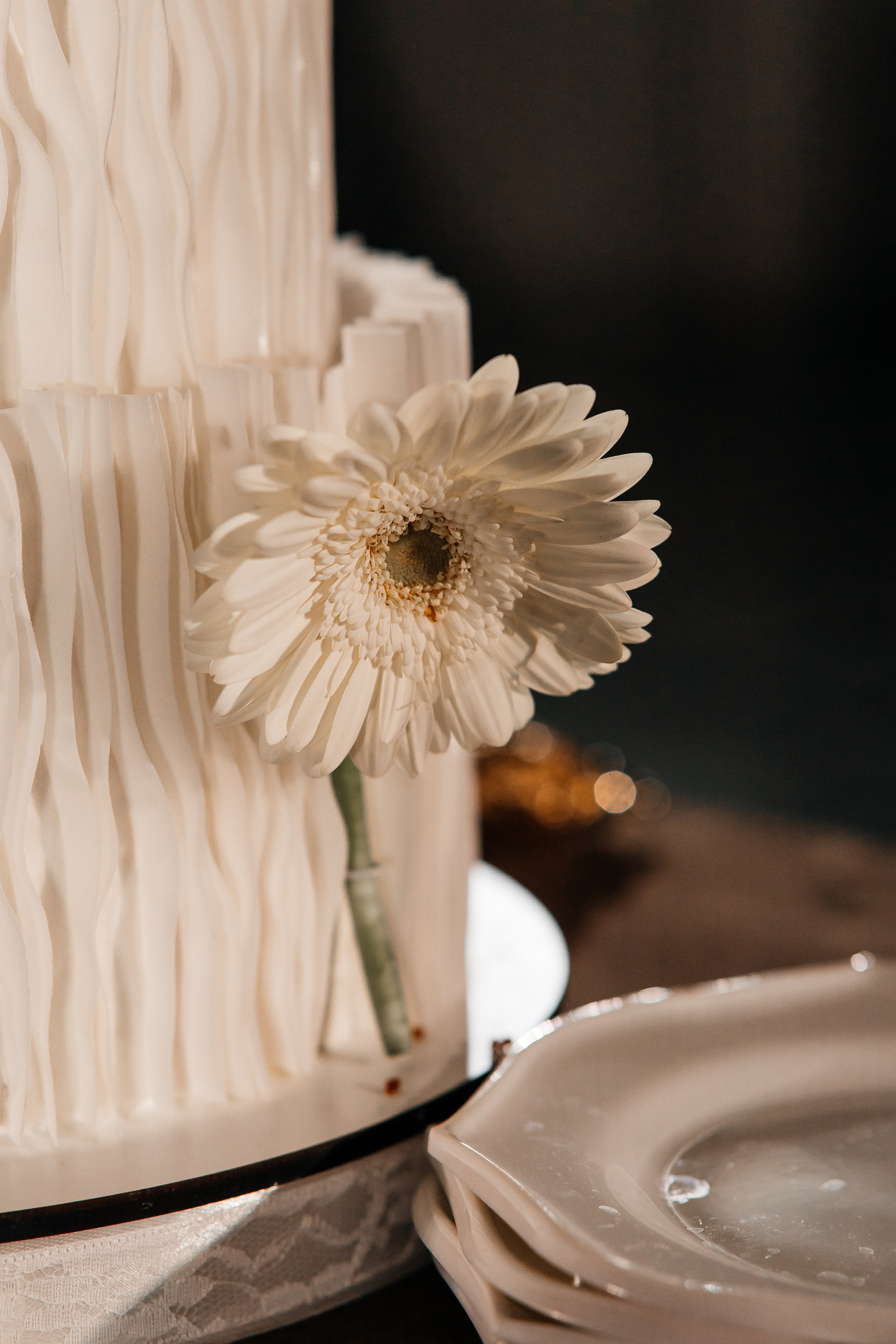 Антон и Алина. Свадебный и семейный фотограф в Ростове-на-Дону