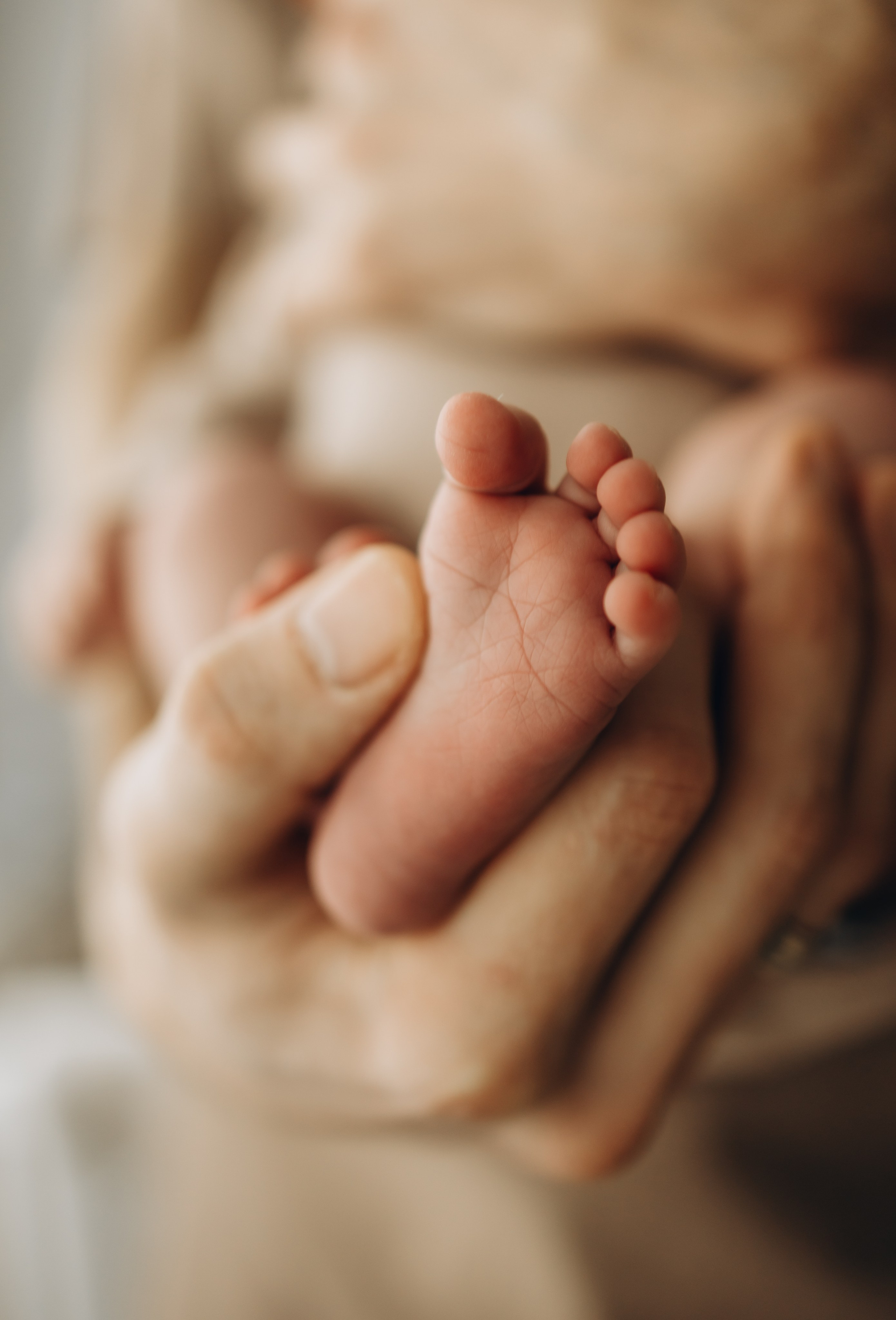 Новорожденные. Семейный и детский фотограф в Москве Антонина Смирнова