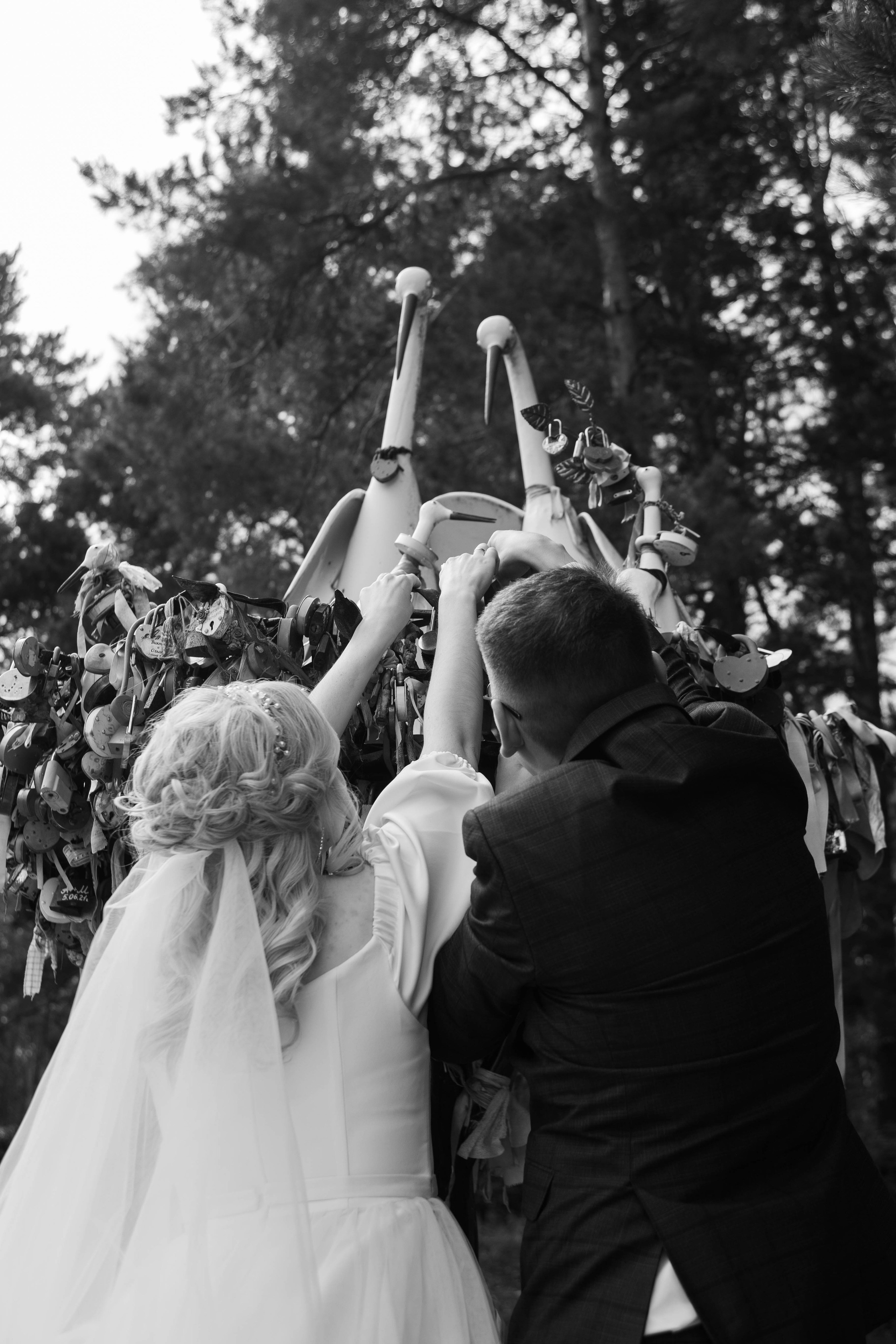 Свадьбы (альбом-портфолио). LINE Lab