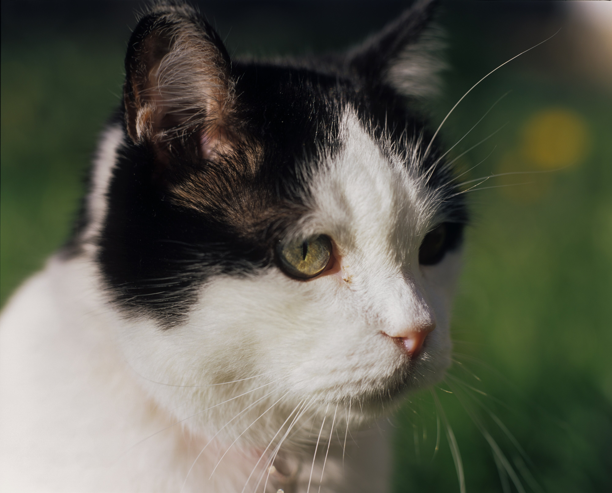Василий. Фотограф в Санкт-Петербурге Березовский Даниил
