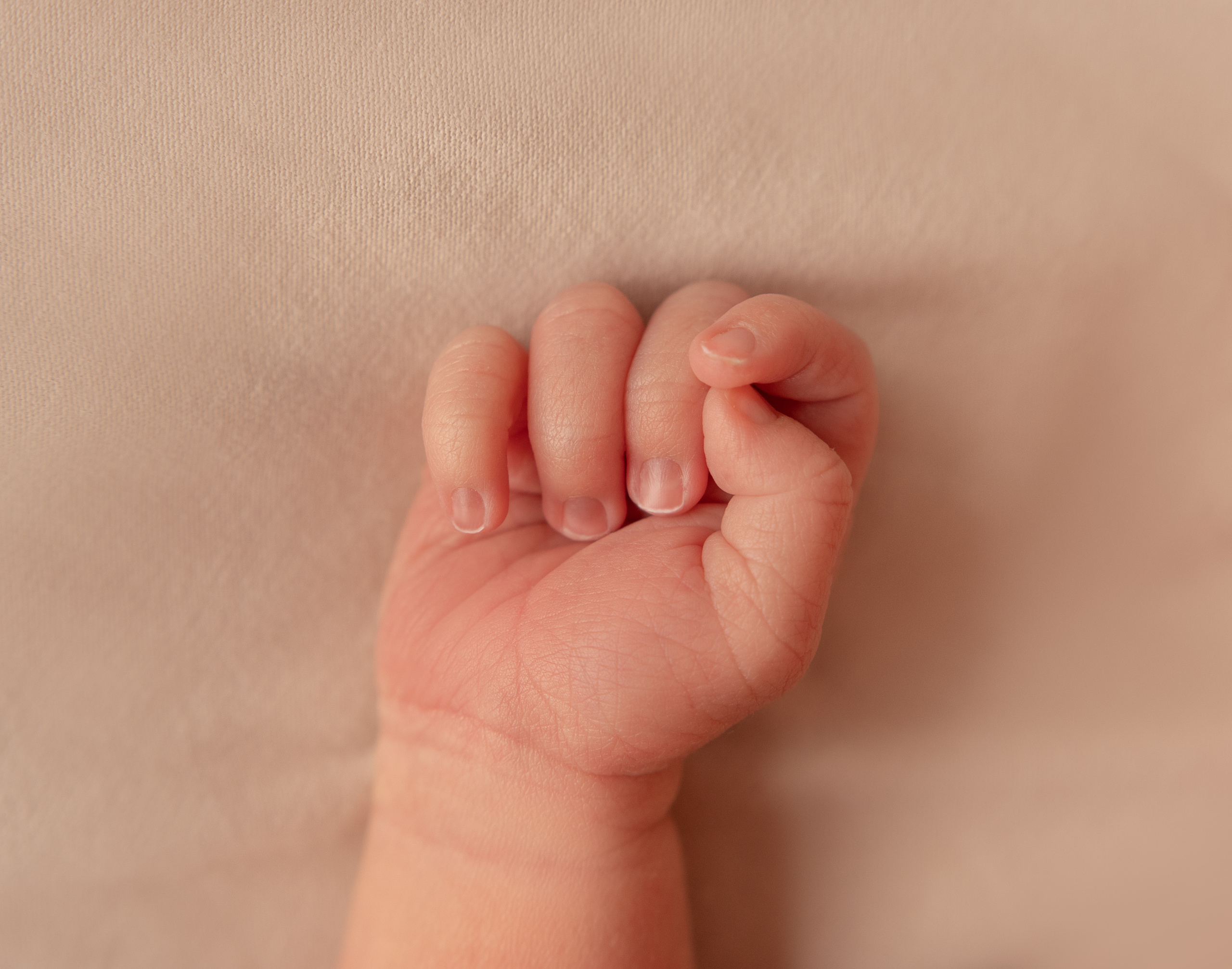 Макро кадры. Фотограф Александра Василькова